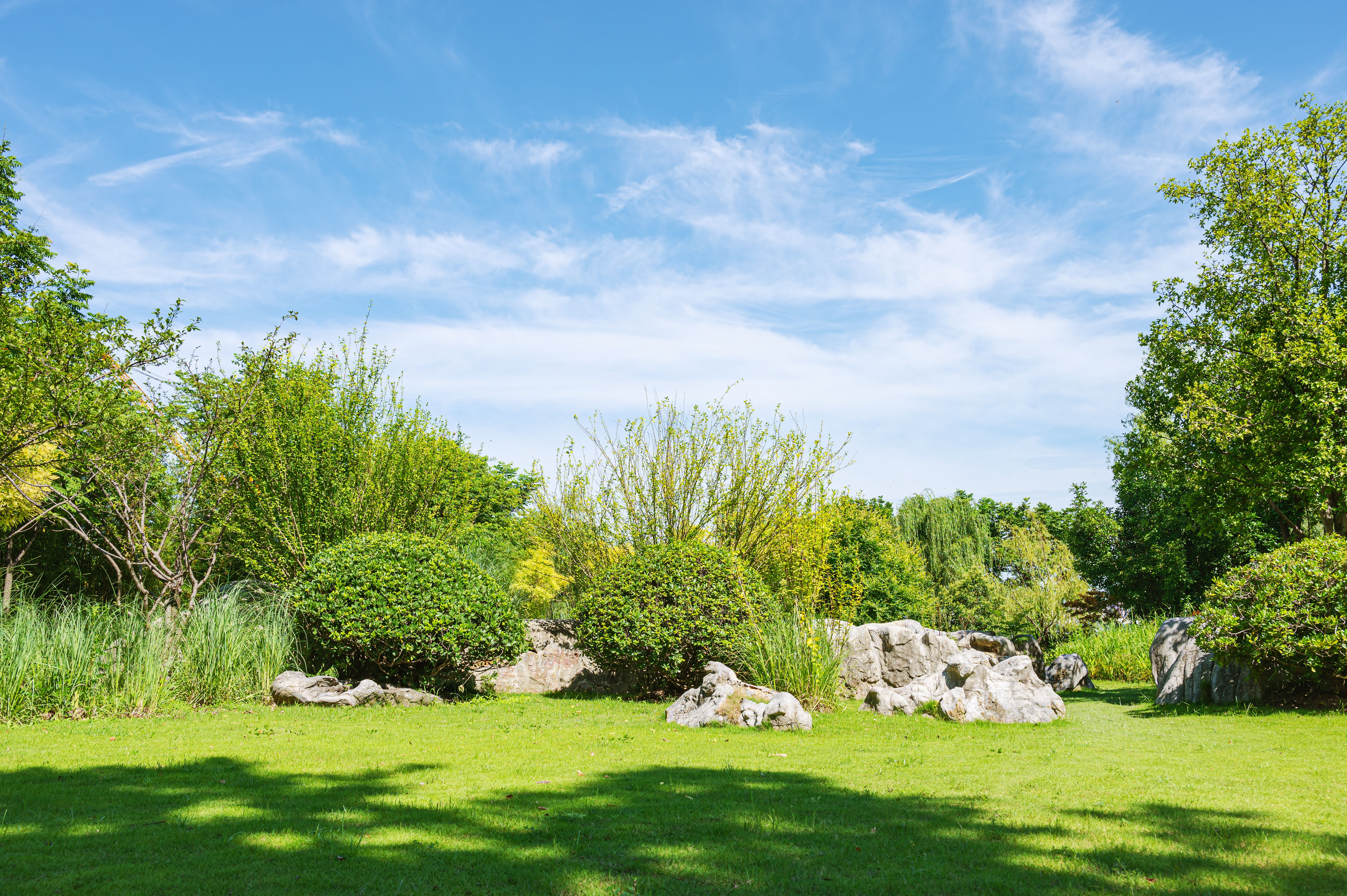 landscape design