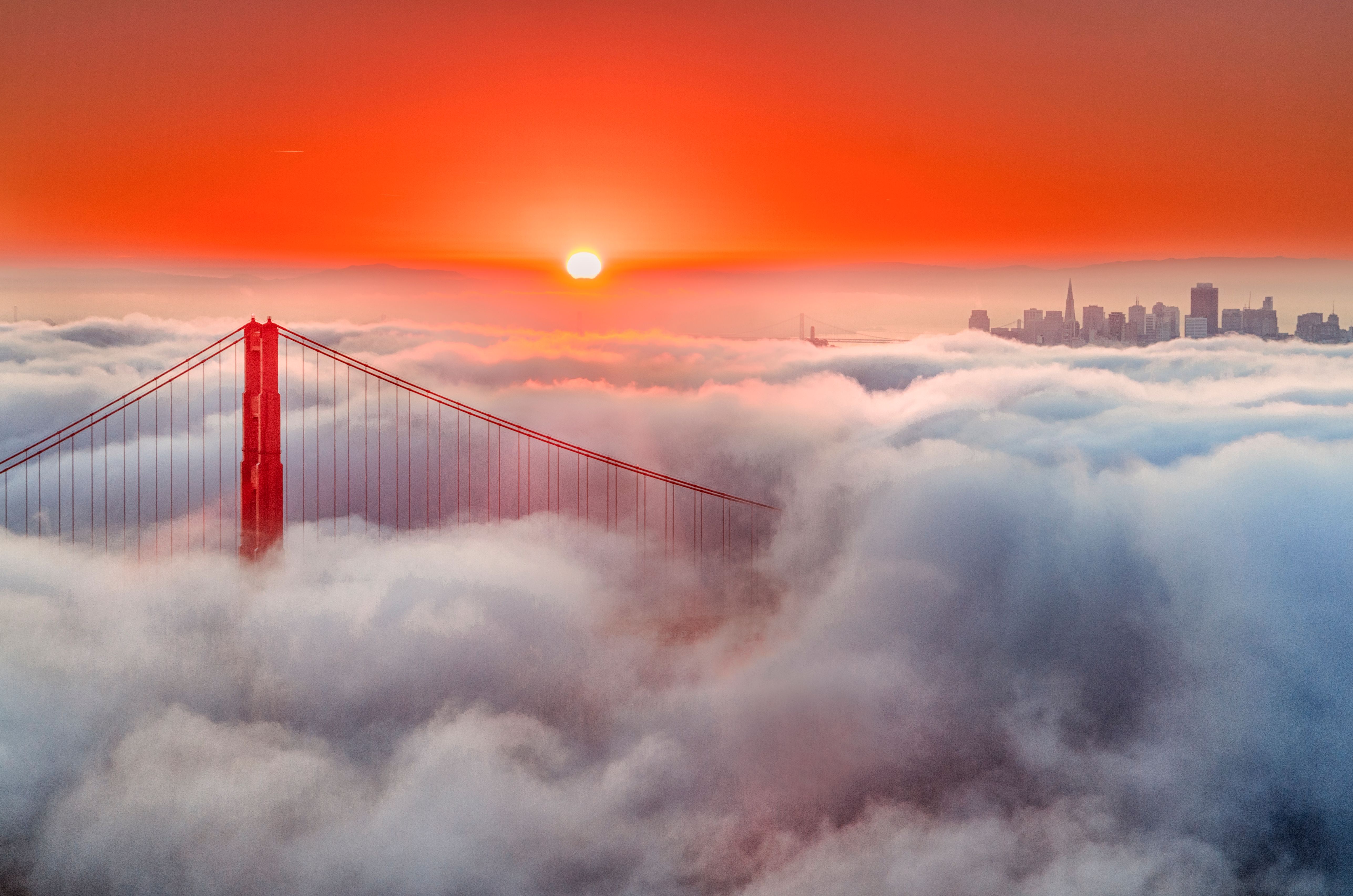 san francisco fog