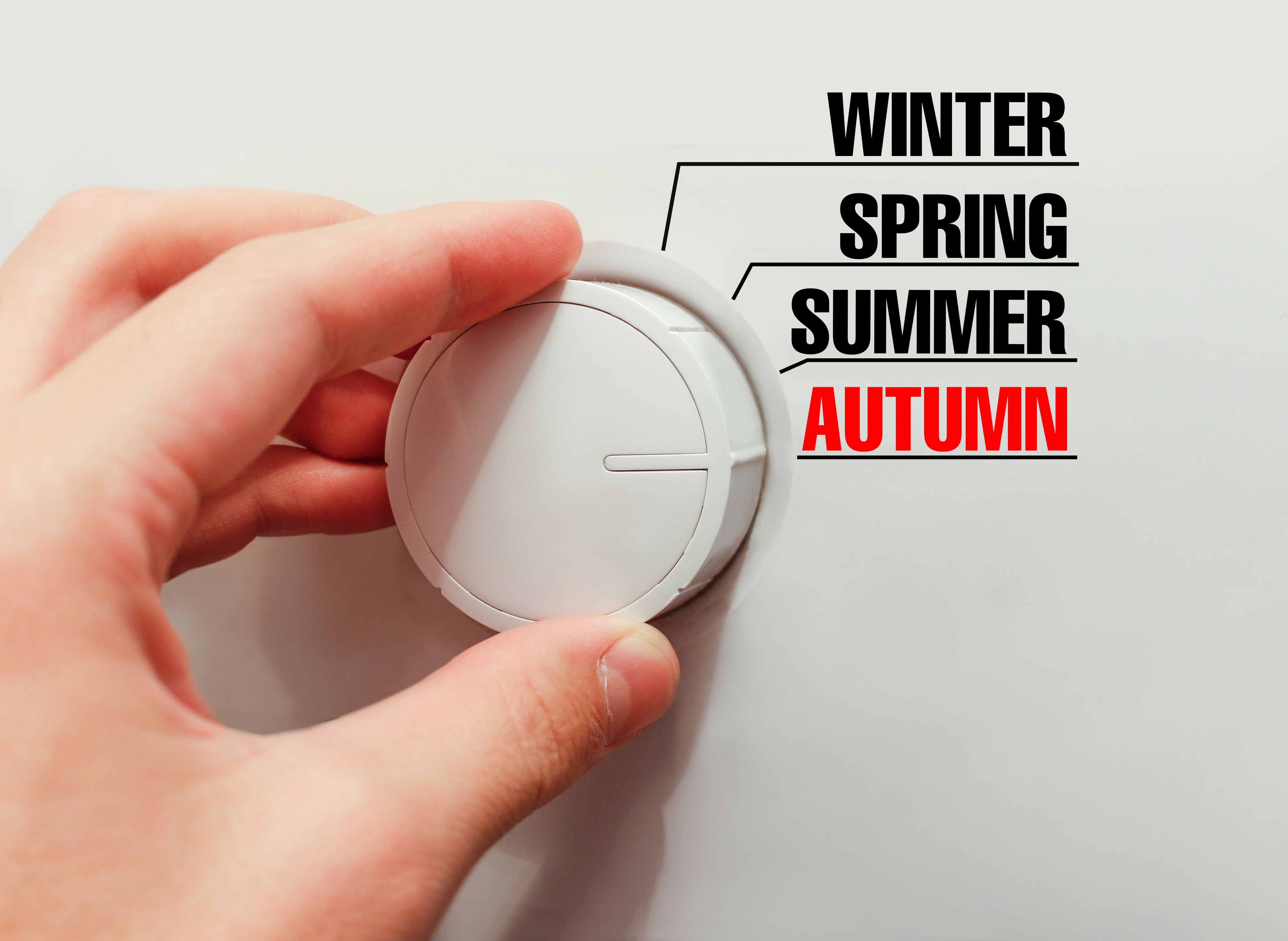 seasonal adjustments