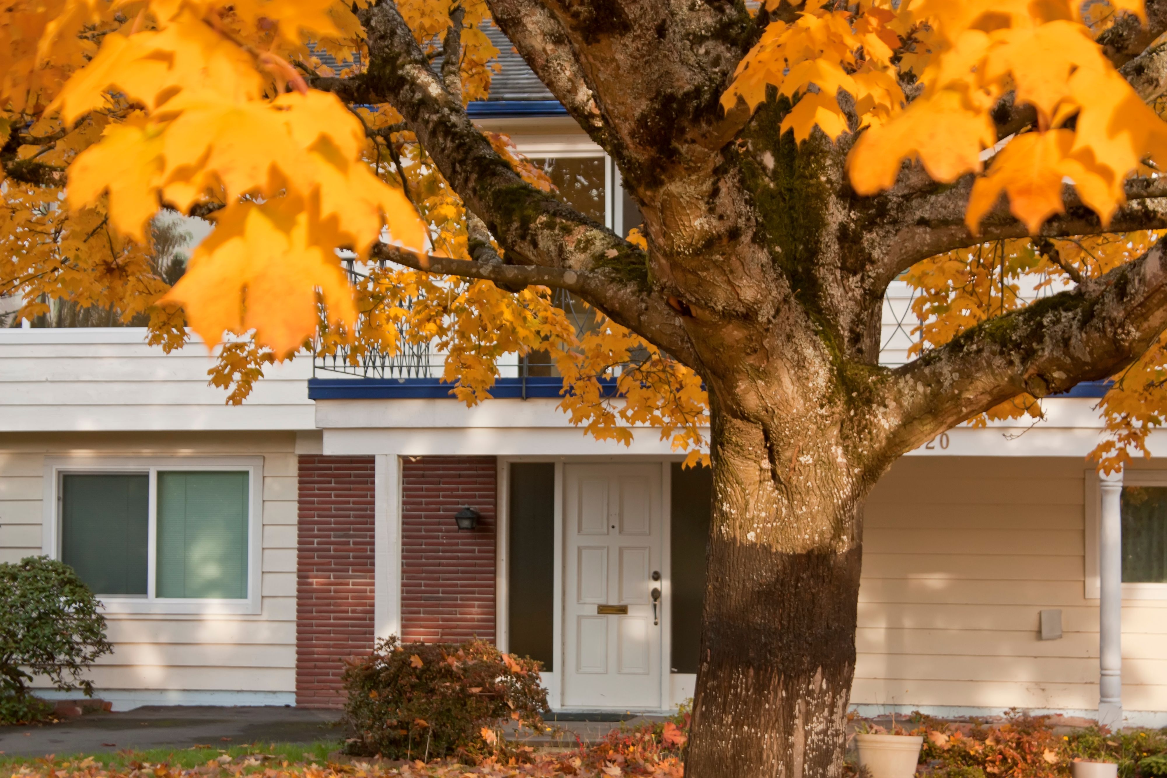 fall homebuying