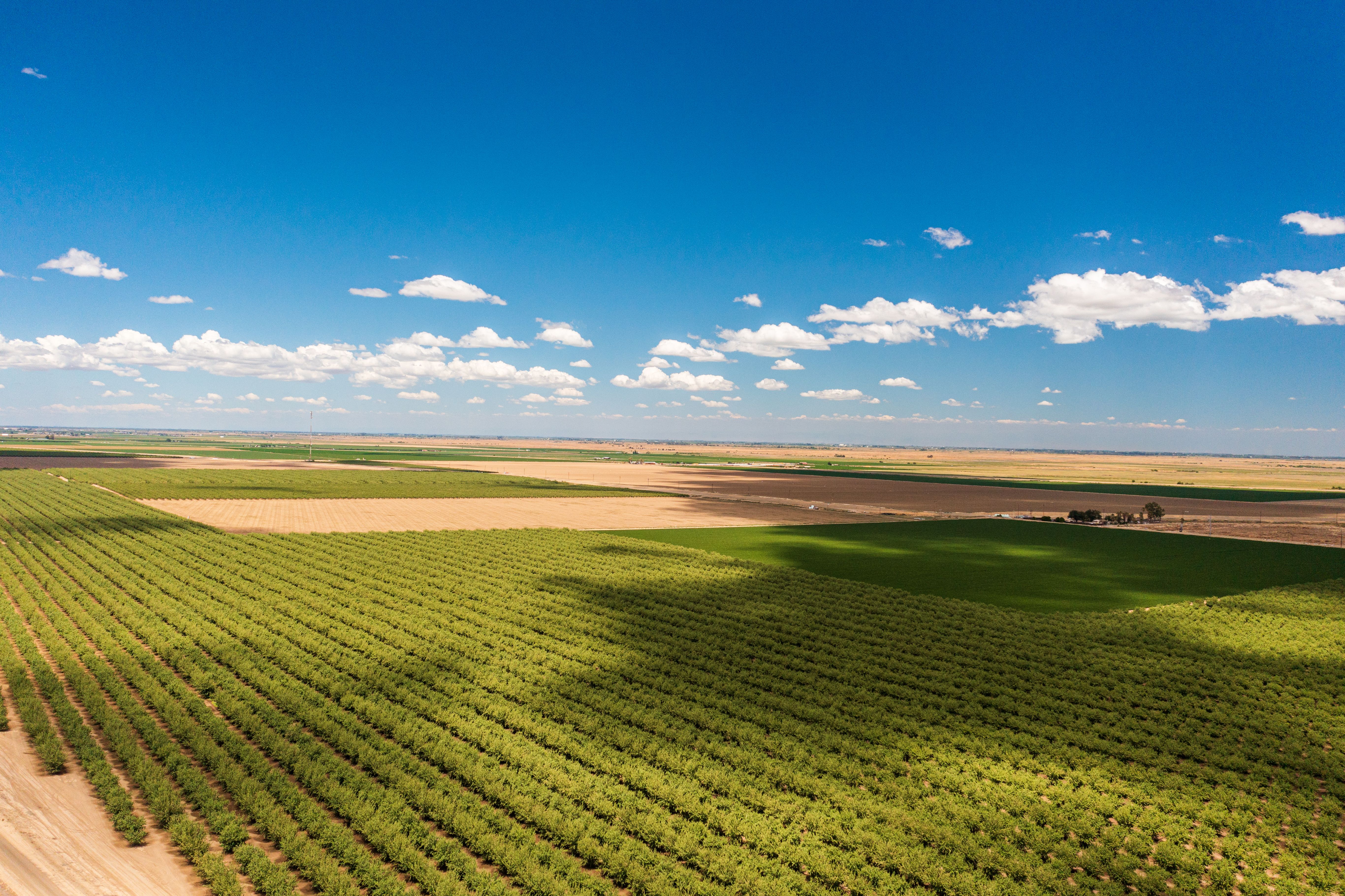 california farmland