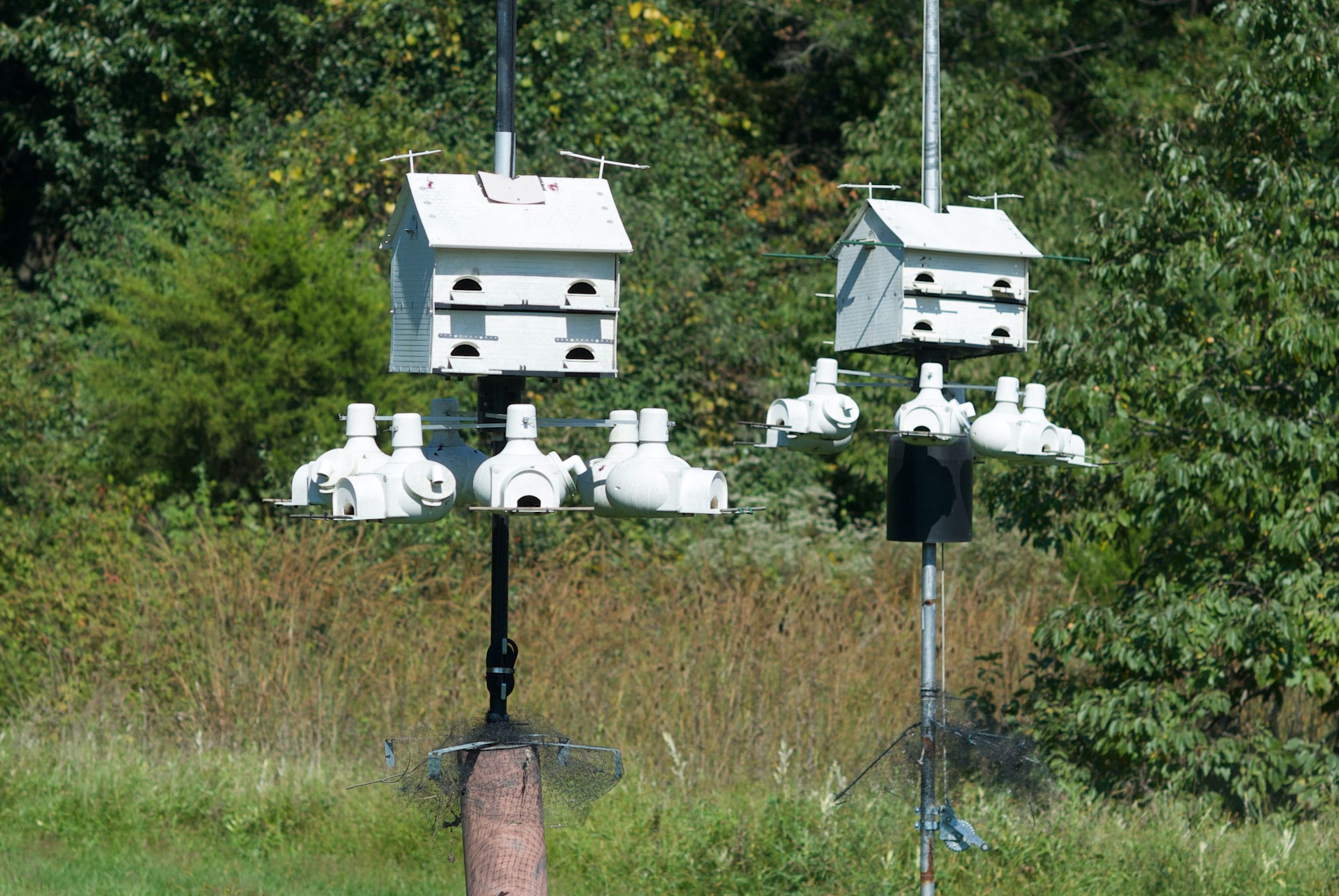 bird diverter design