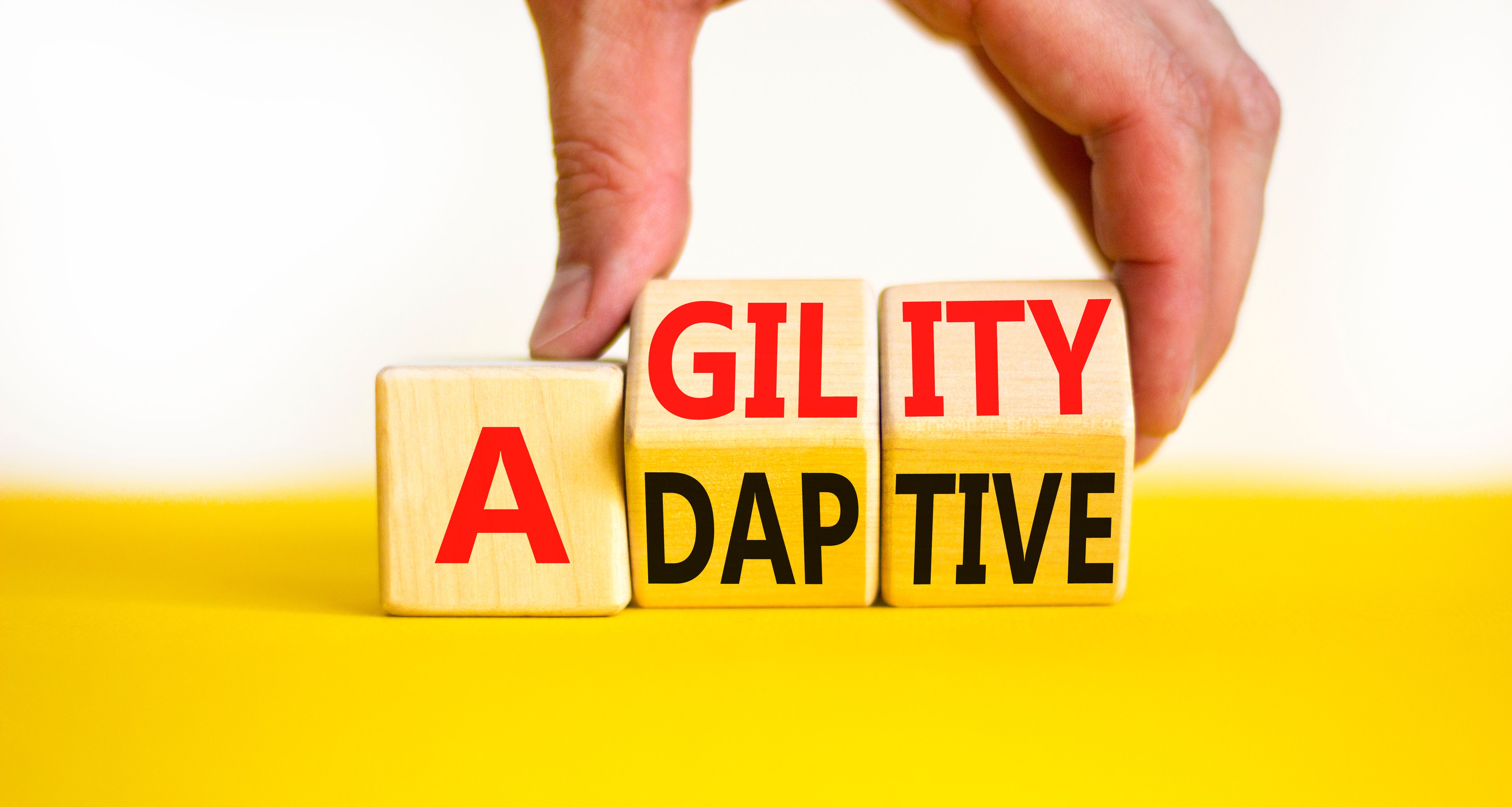 agilité organisationnelle