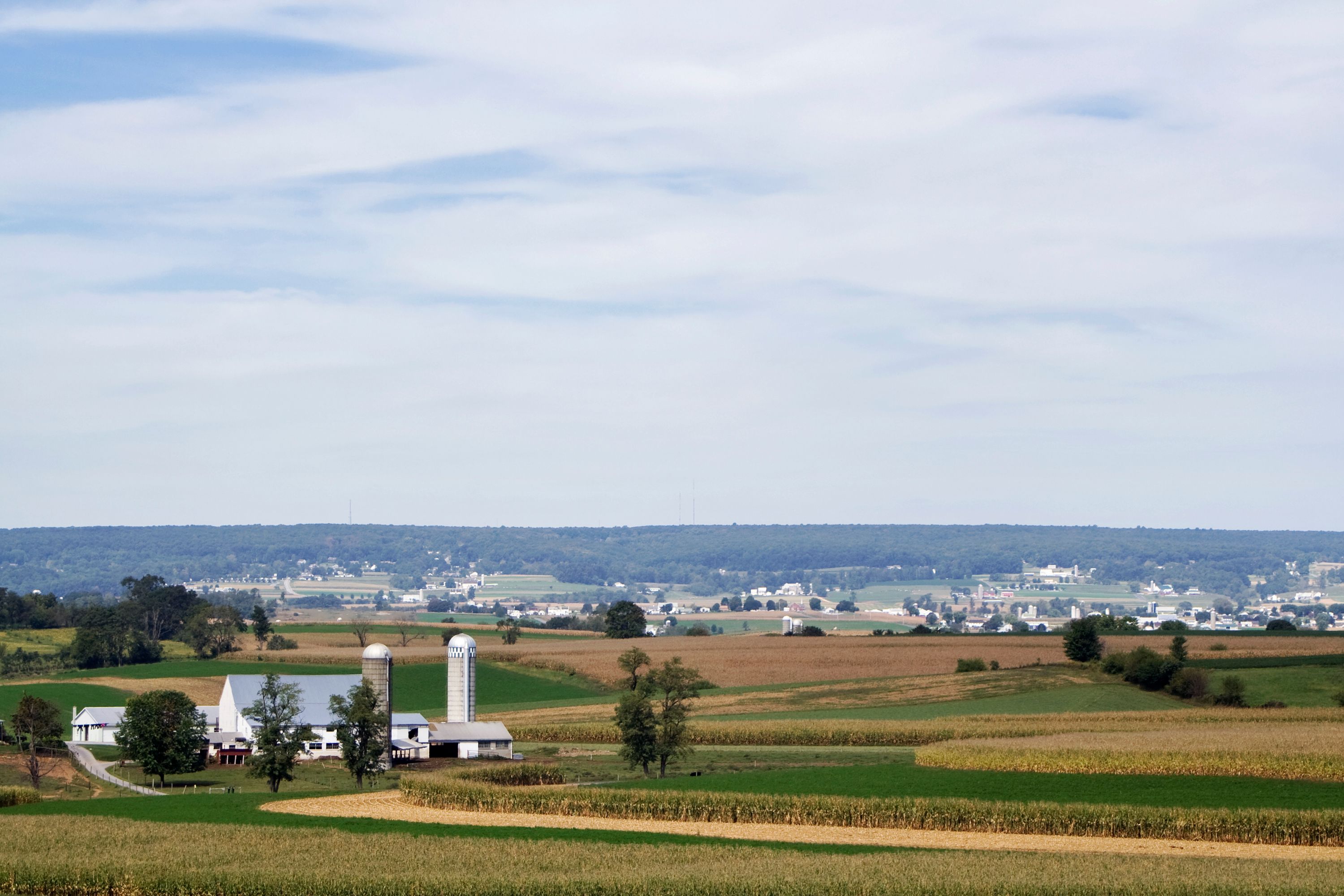 successful business in Lancaster