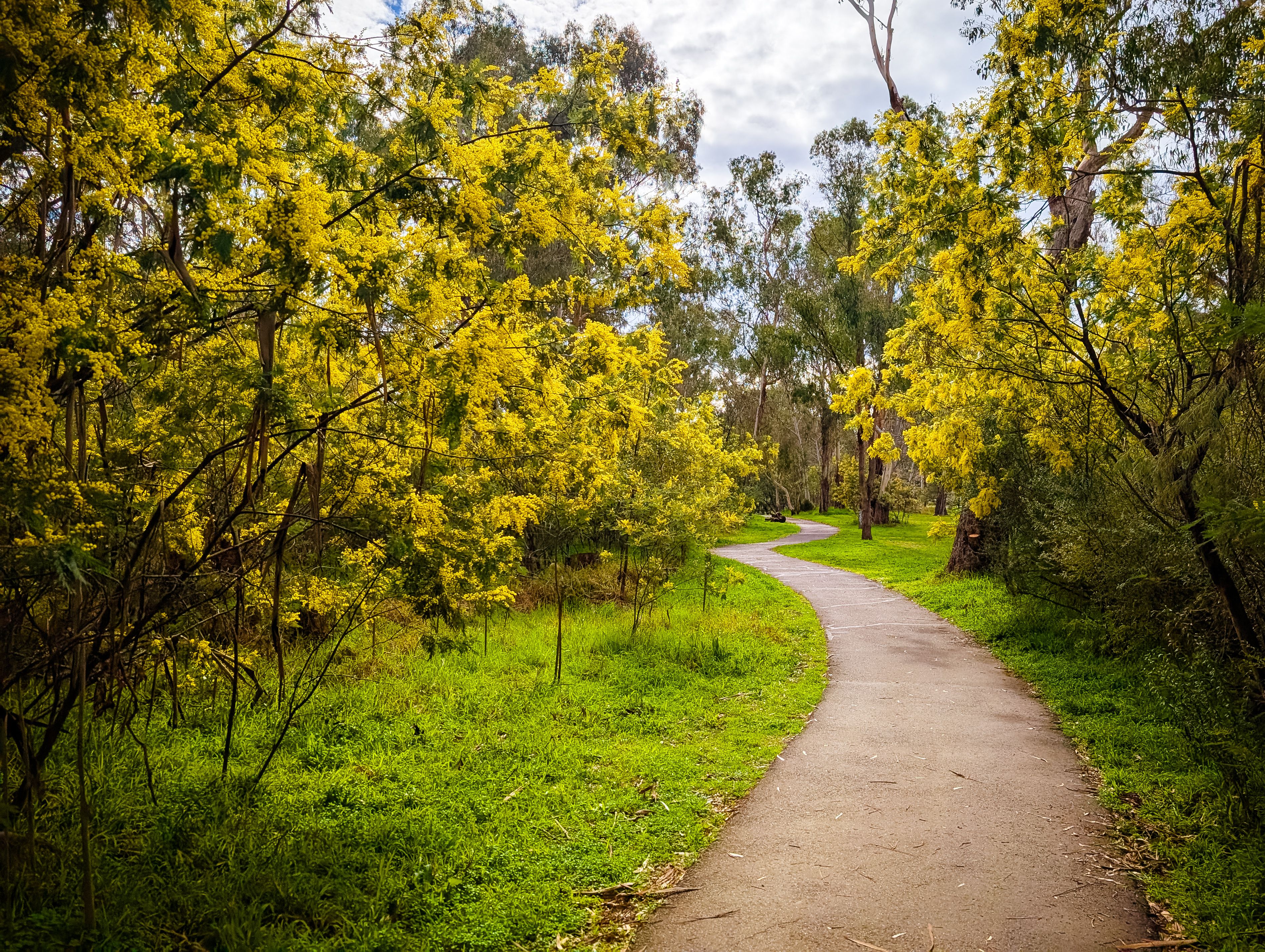 melbourne native garden