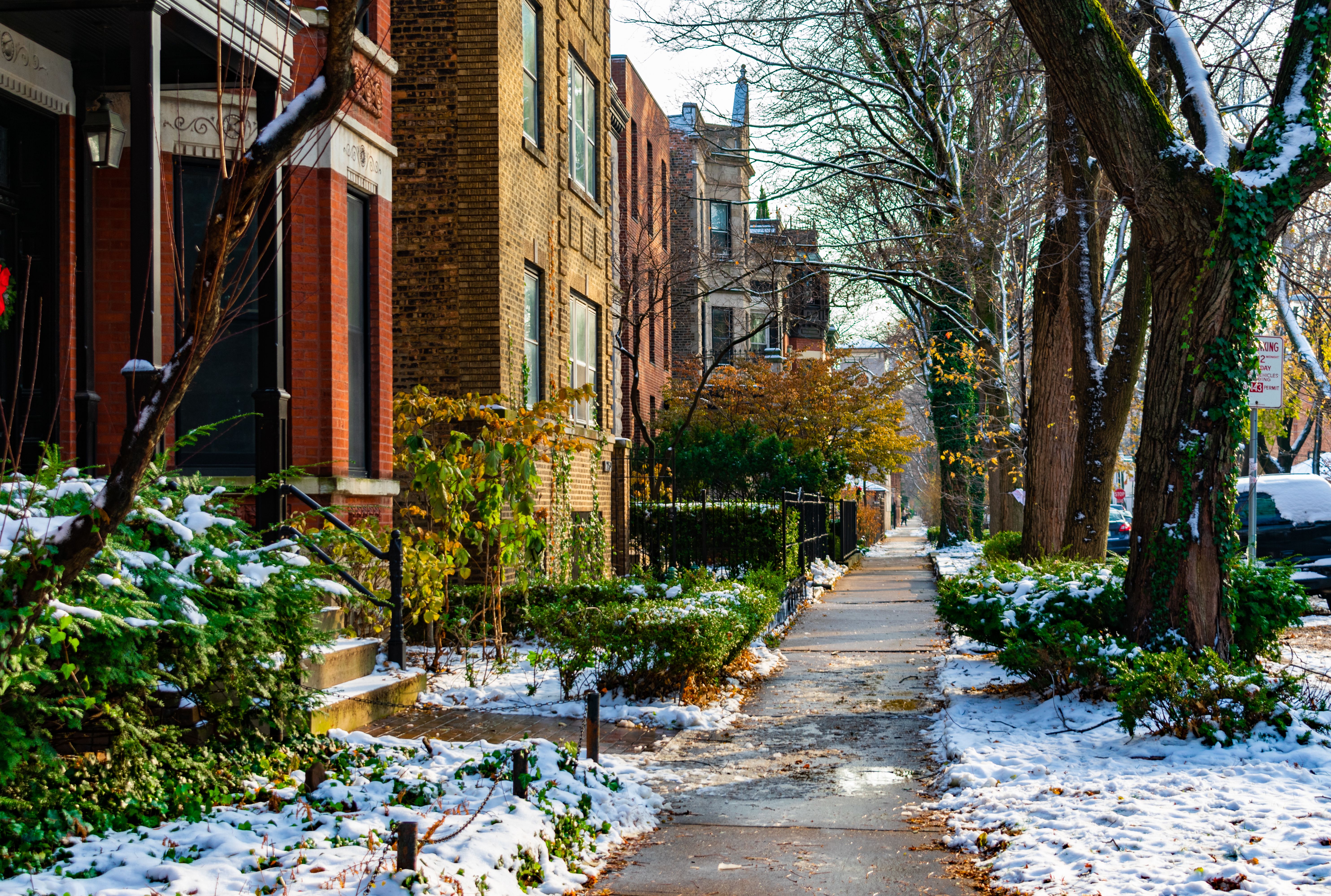 chicago winter garden