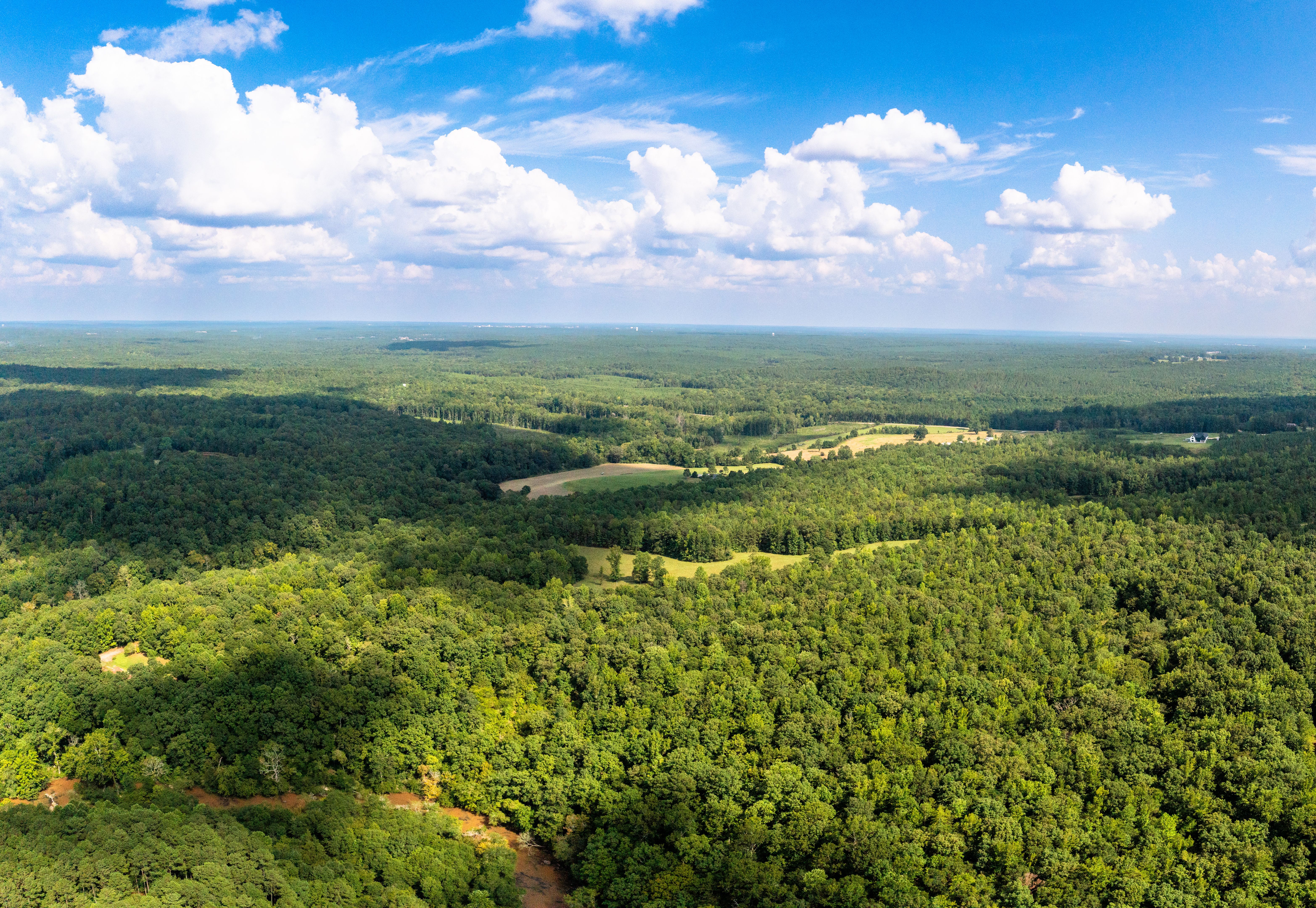 newton county landscape