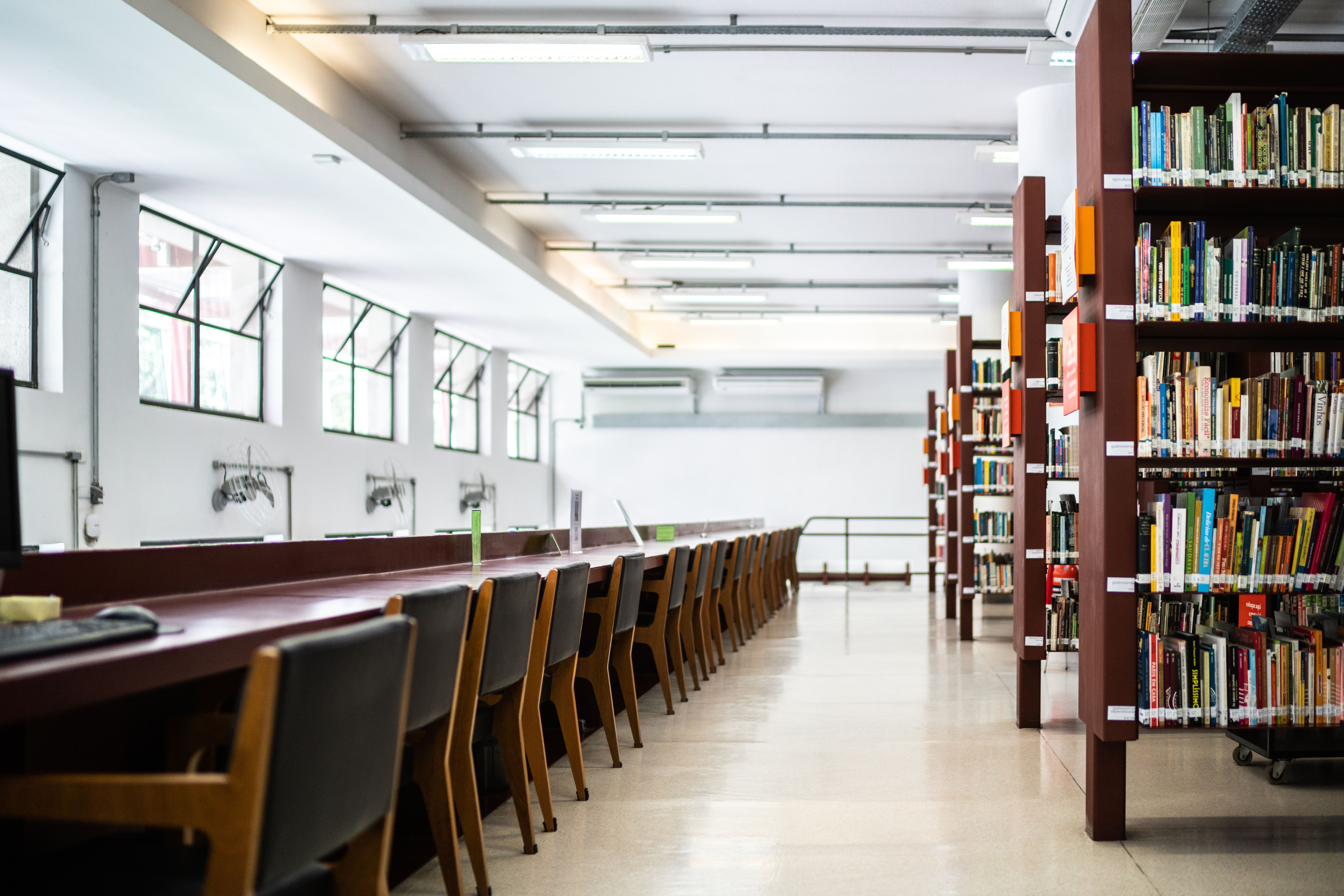 modern brazilian university