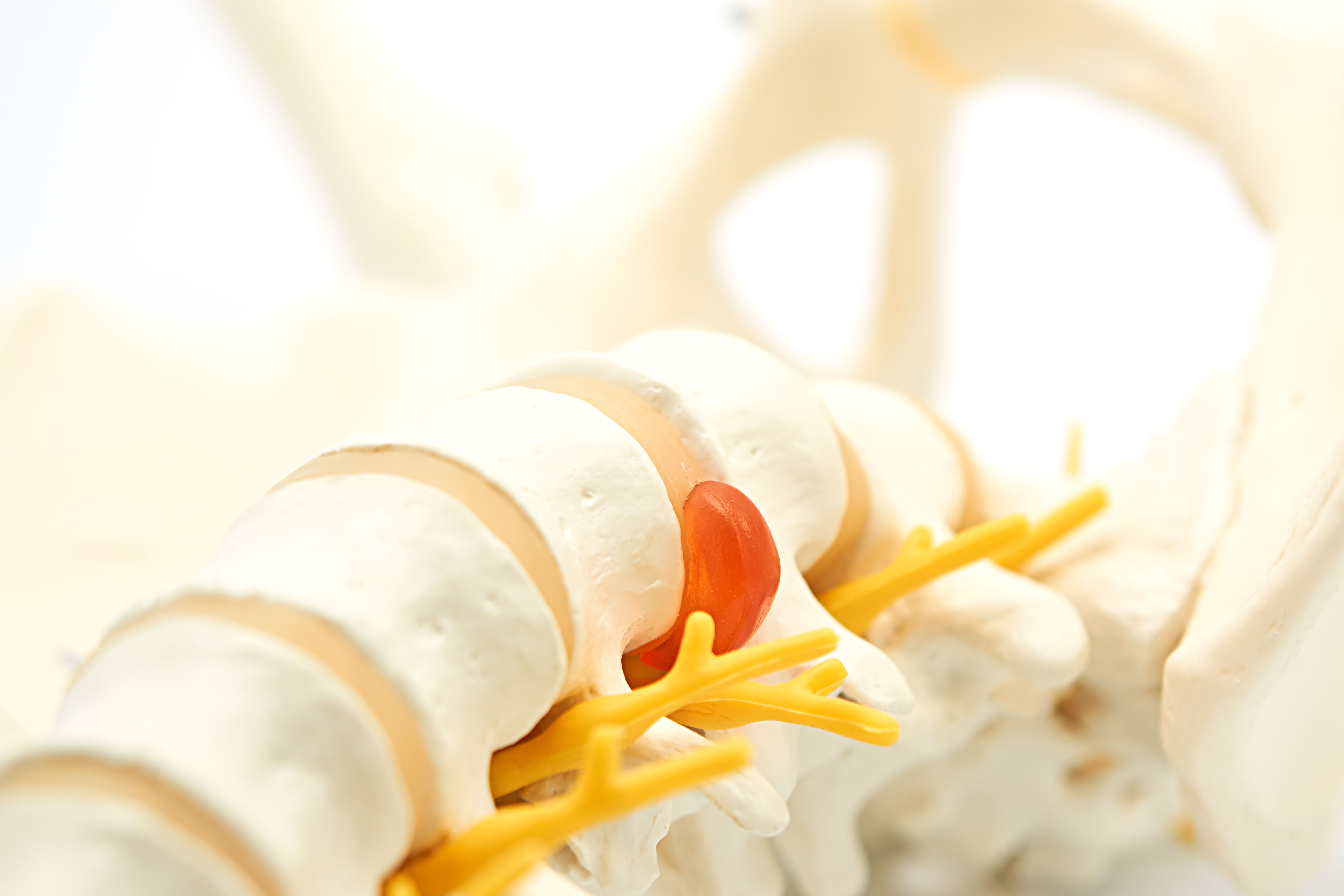 chiropractic adjustment