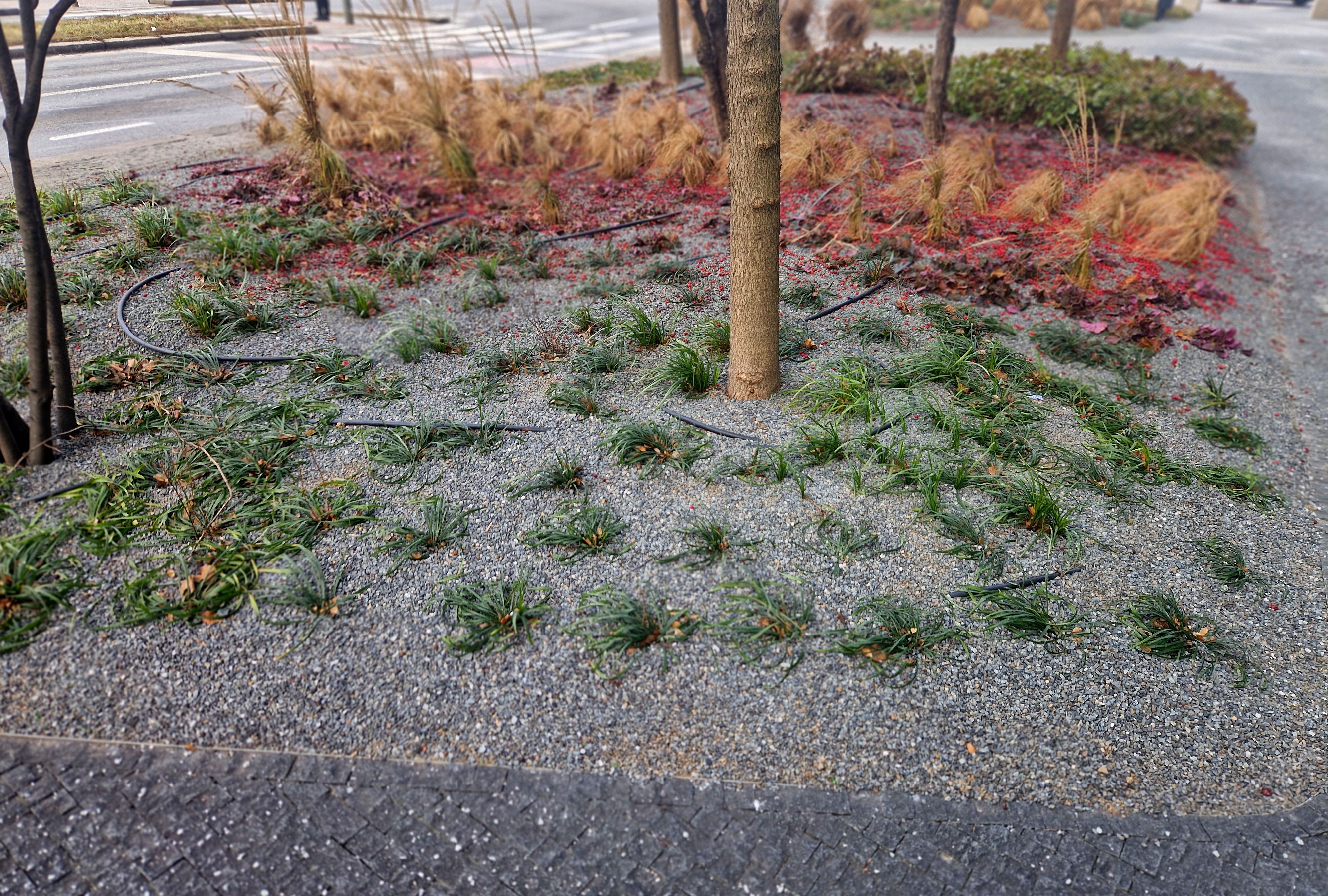 year-round maintenance