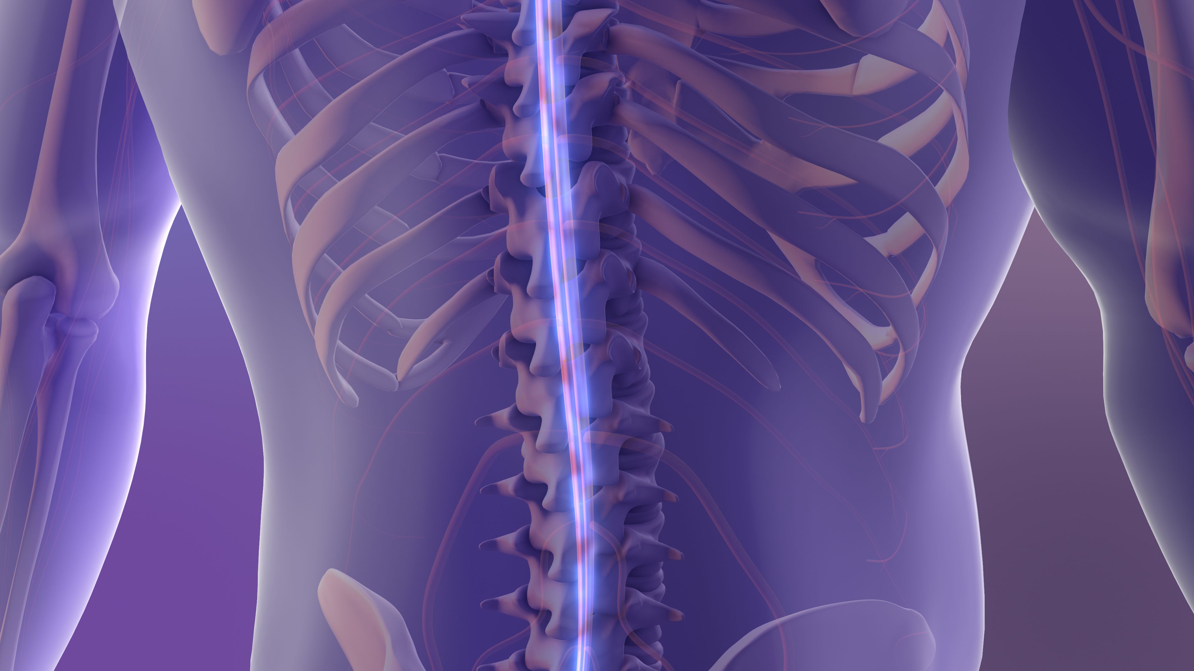 spine alignment