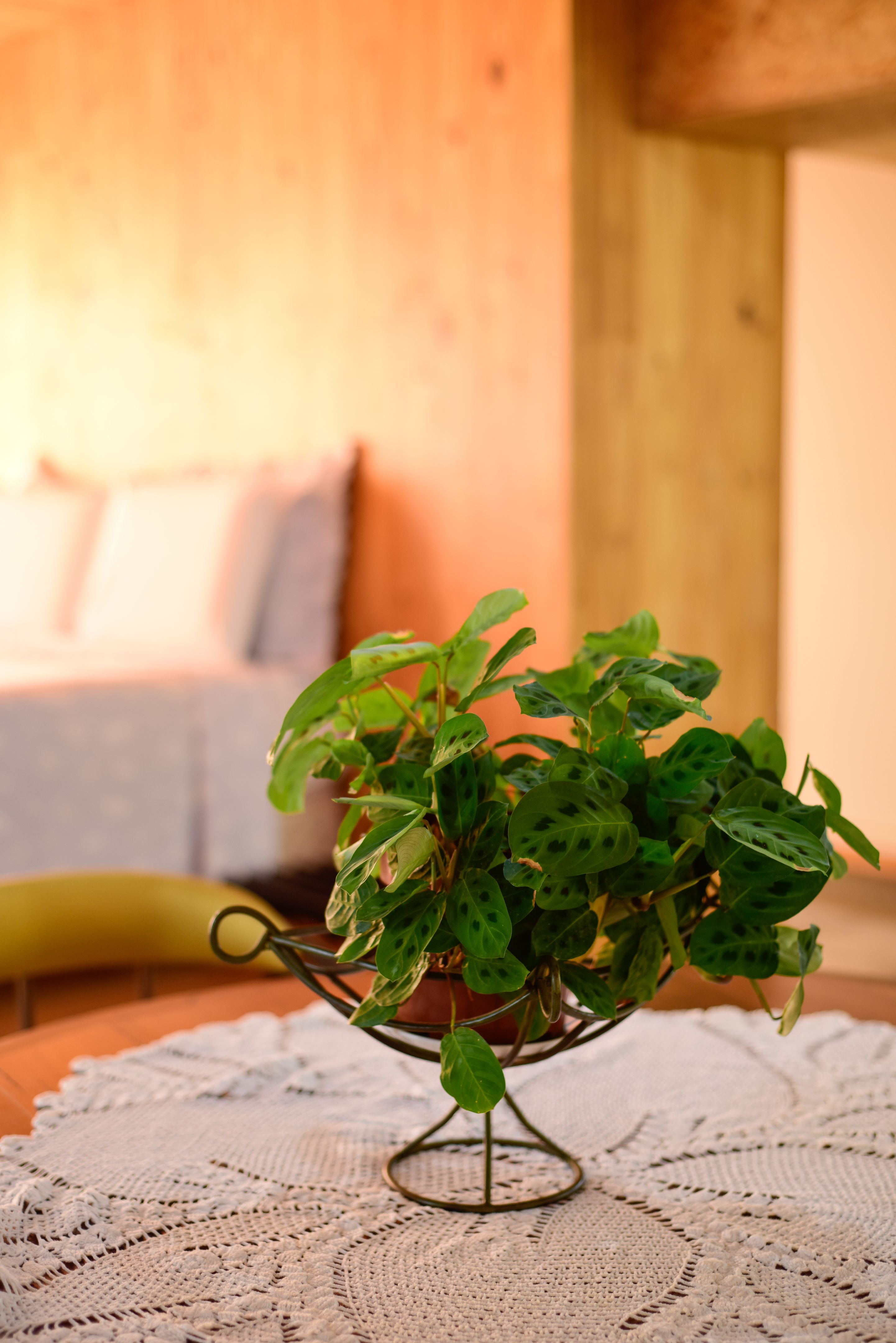 bed and breakfast croton