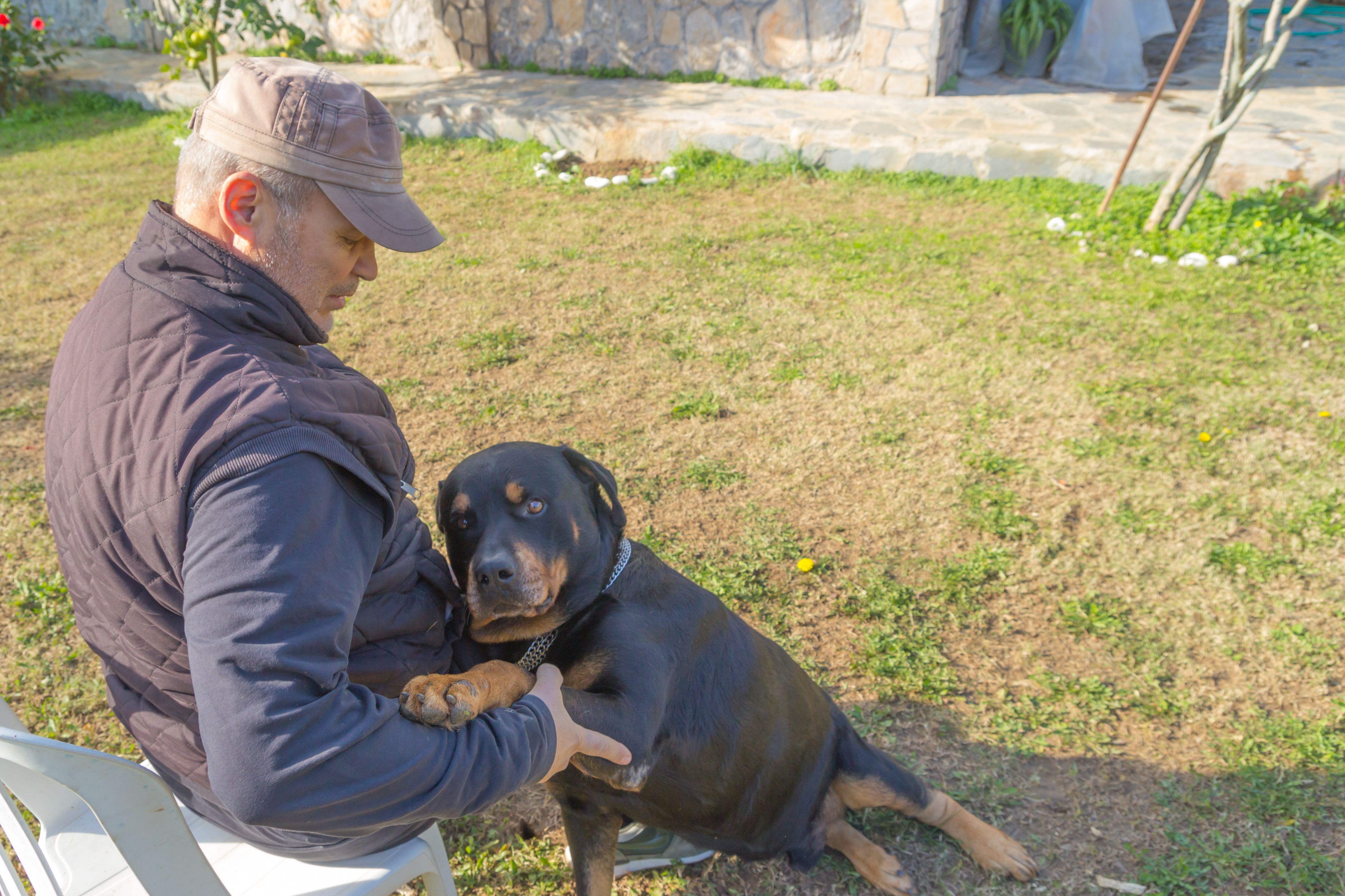 Rottweiler dog and it's trainer