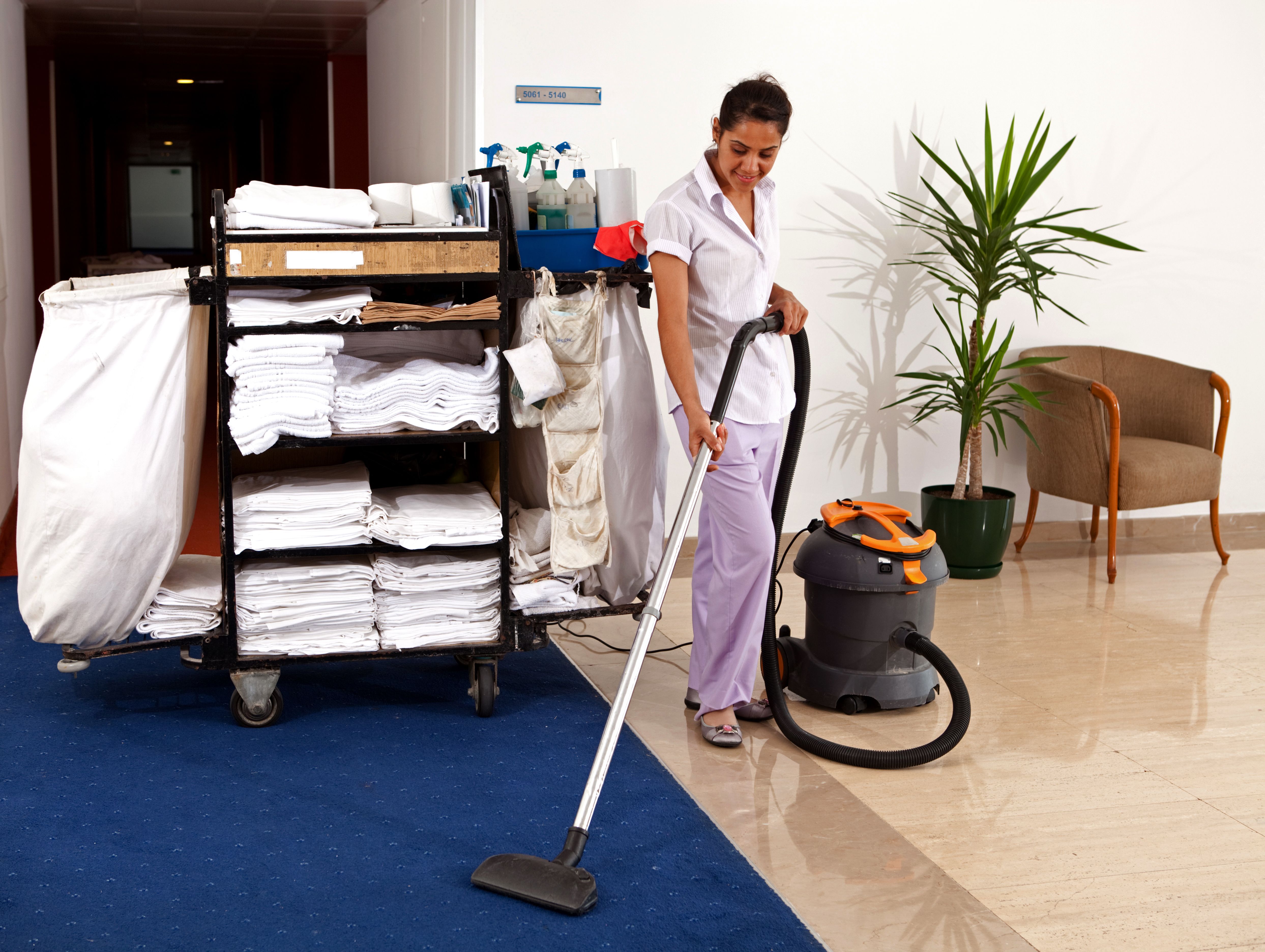 Cleaning woman