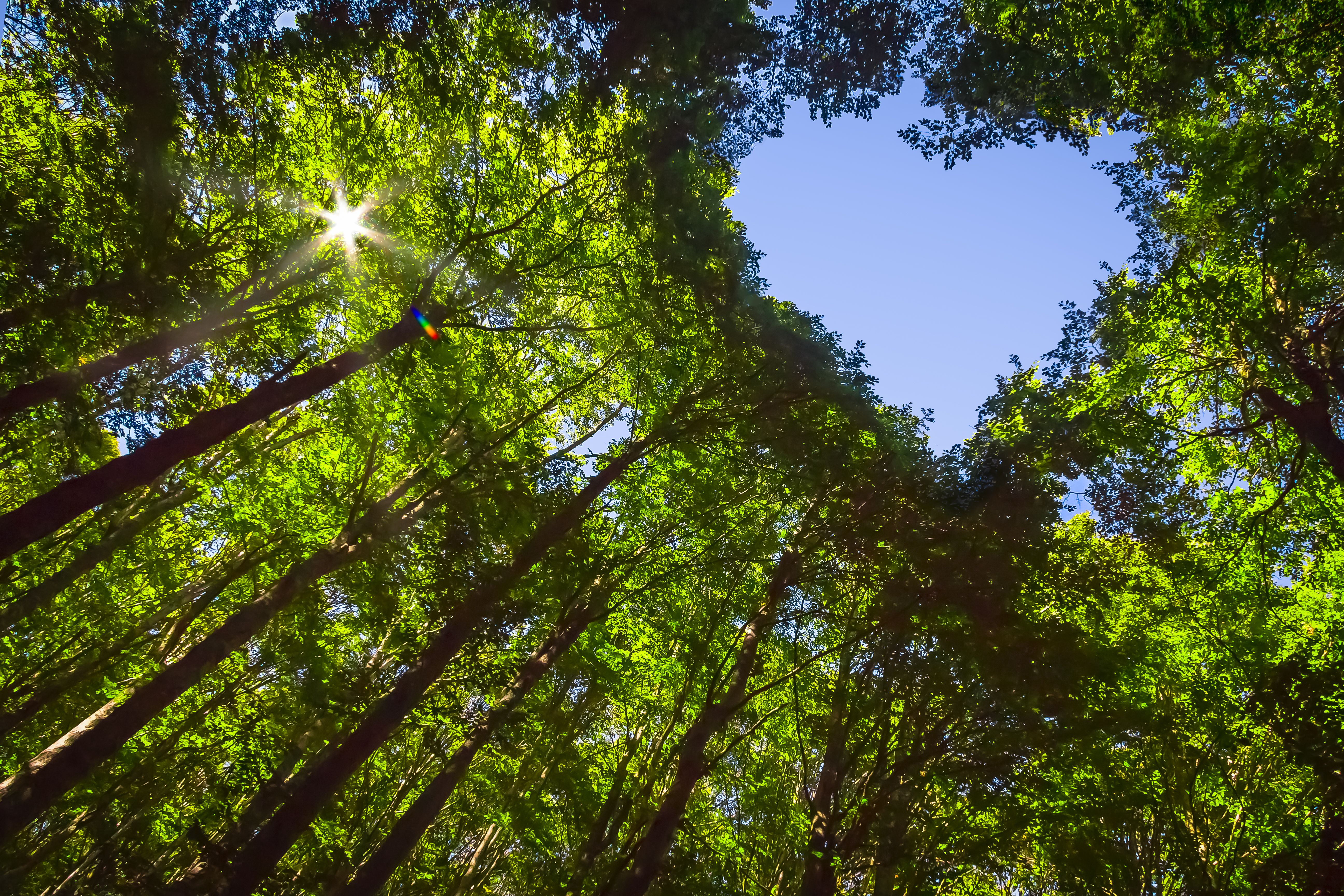 sustainable beauty