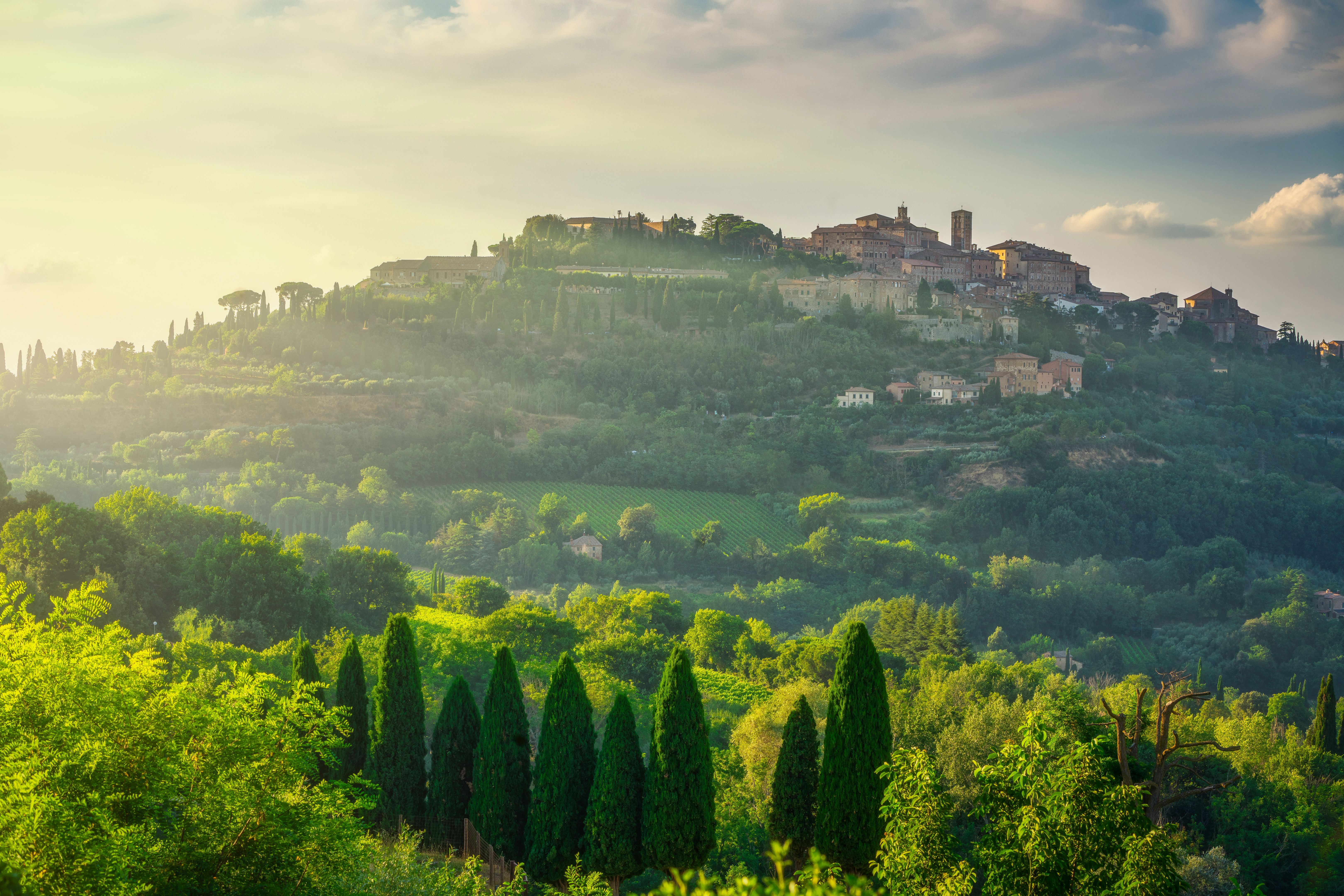 montepulciano hills