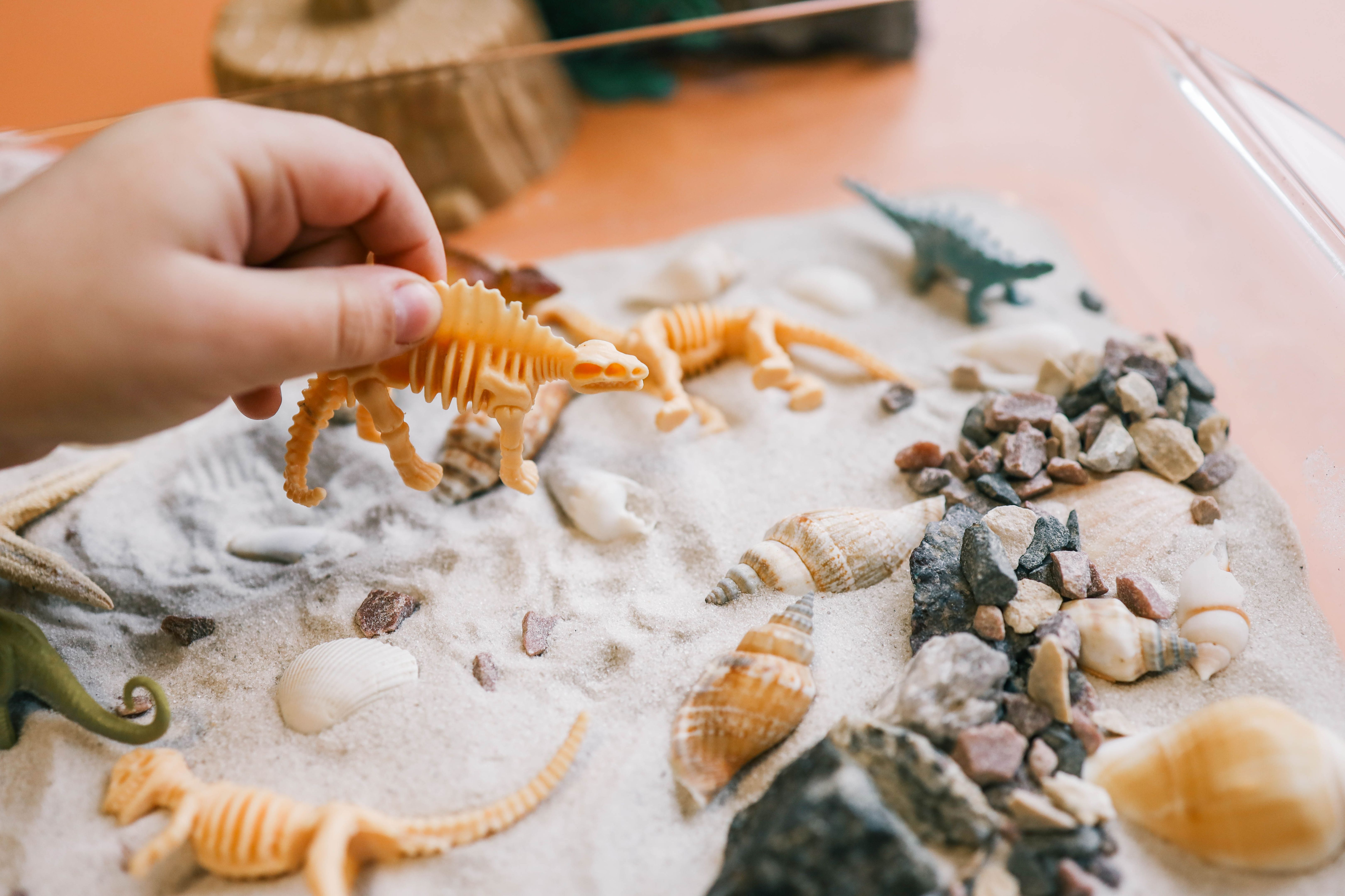 educational dinosaur workshop