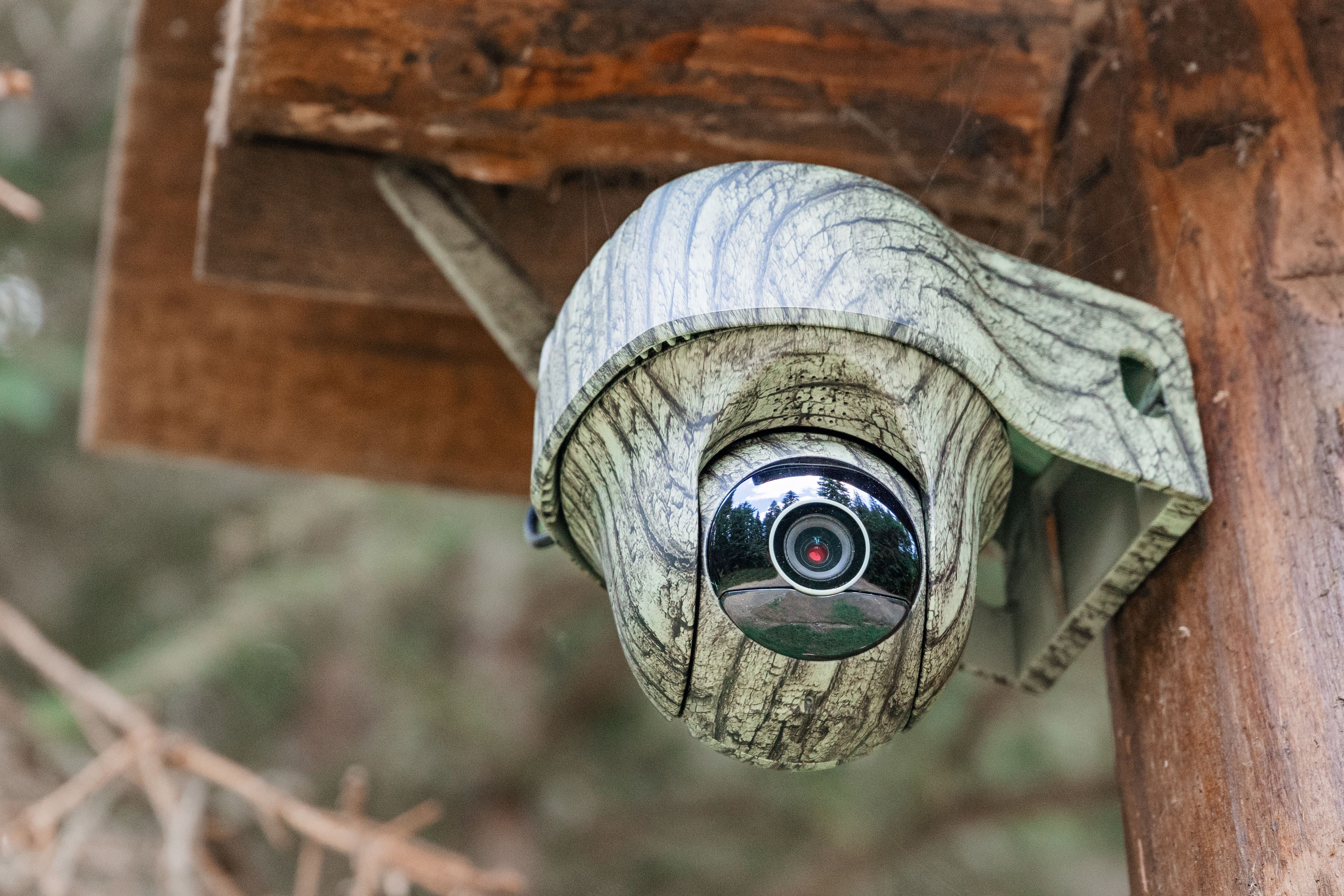 environmental monitoring