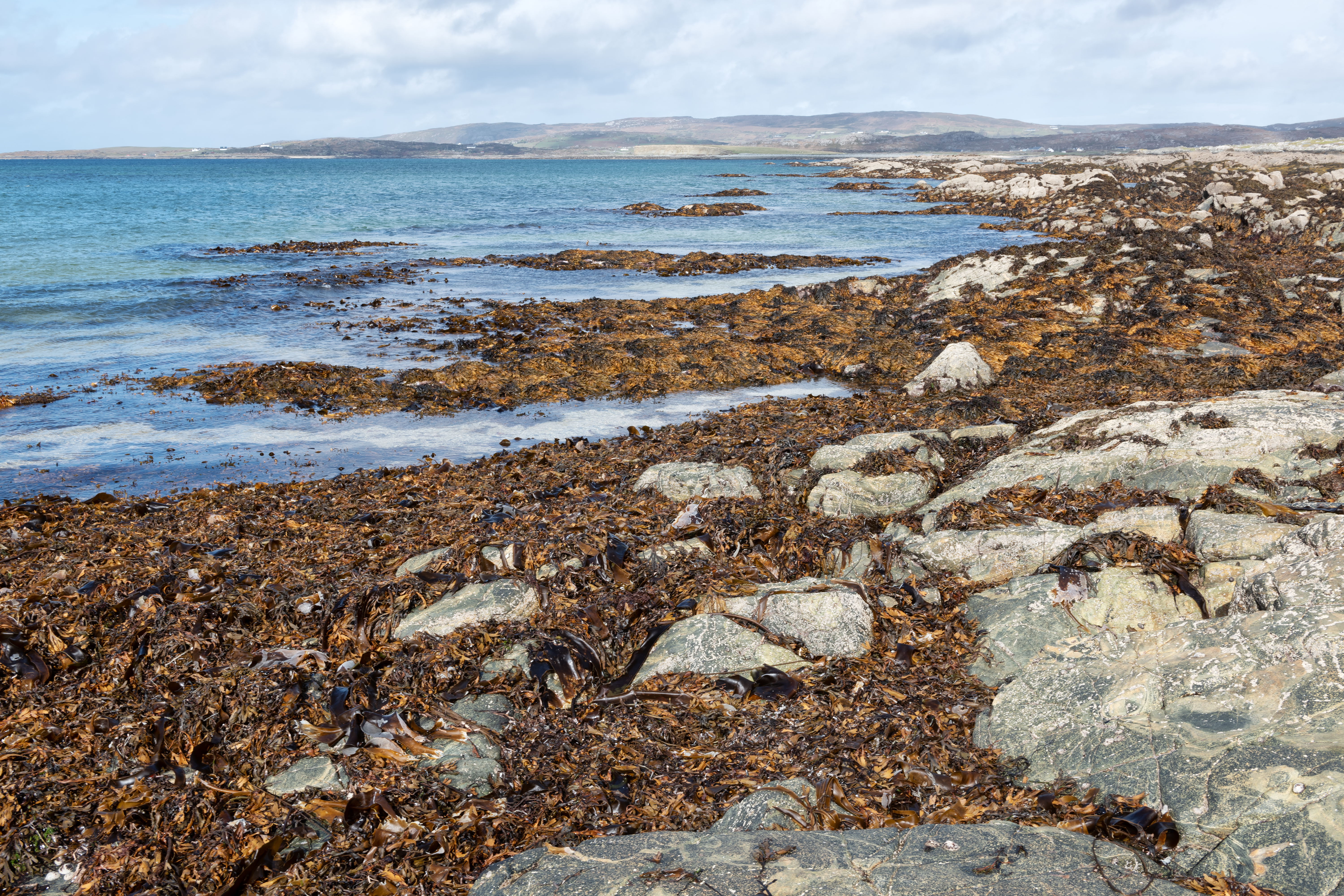 Mannin Bay,  Connemara, County Galway, Ireland