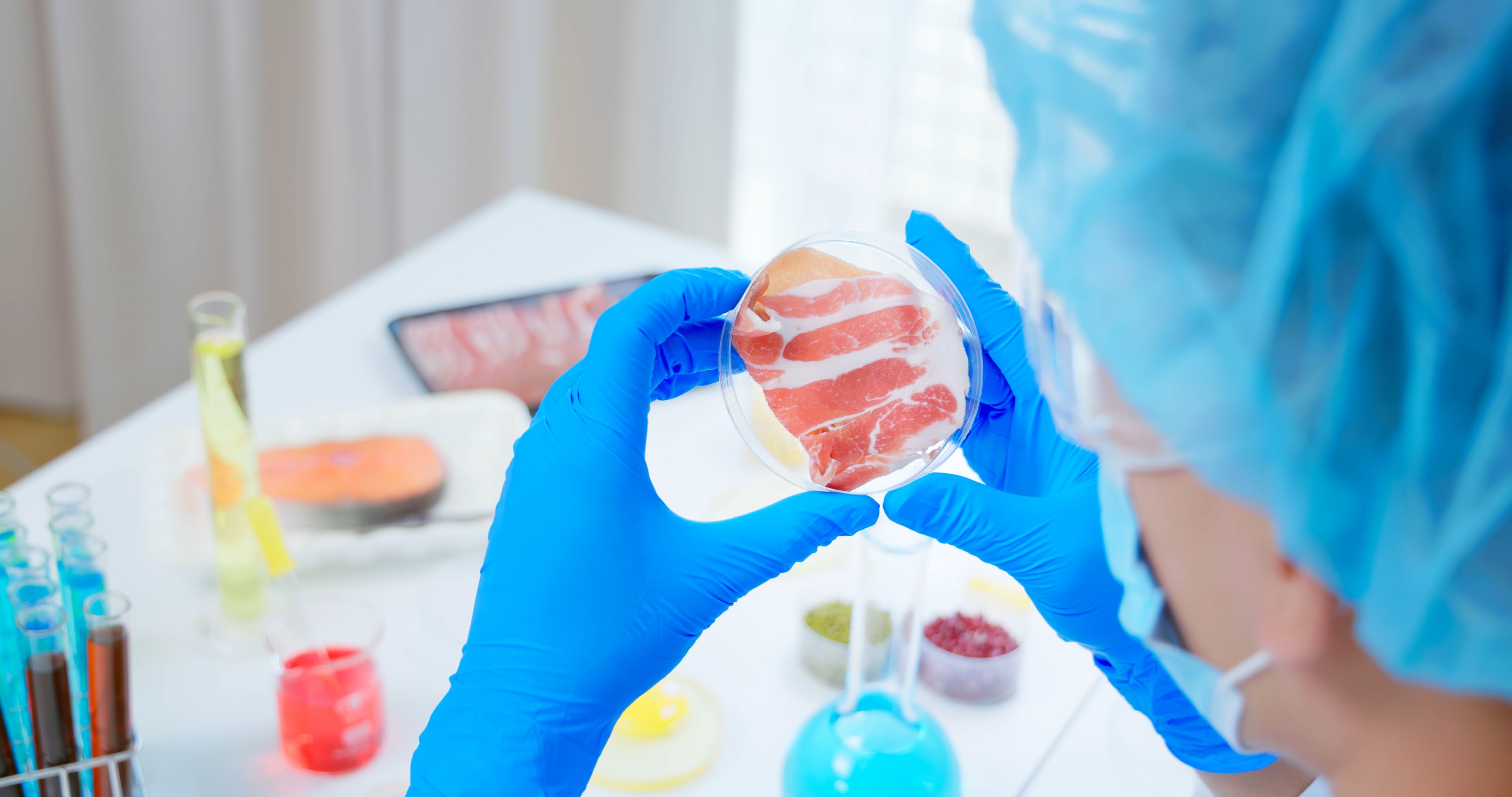 food safety inspection