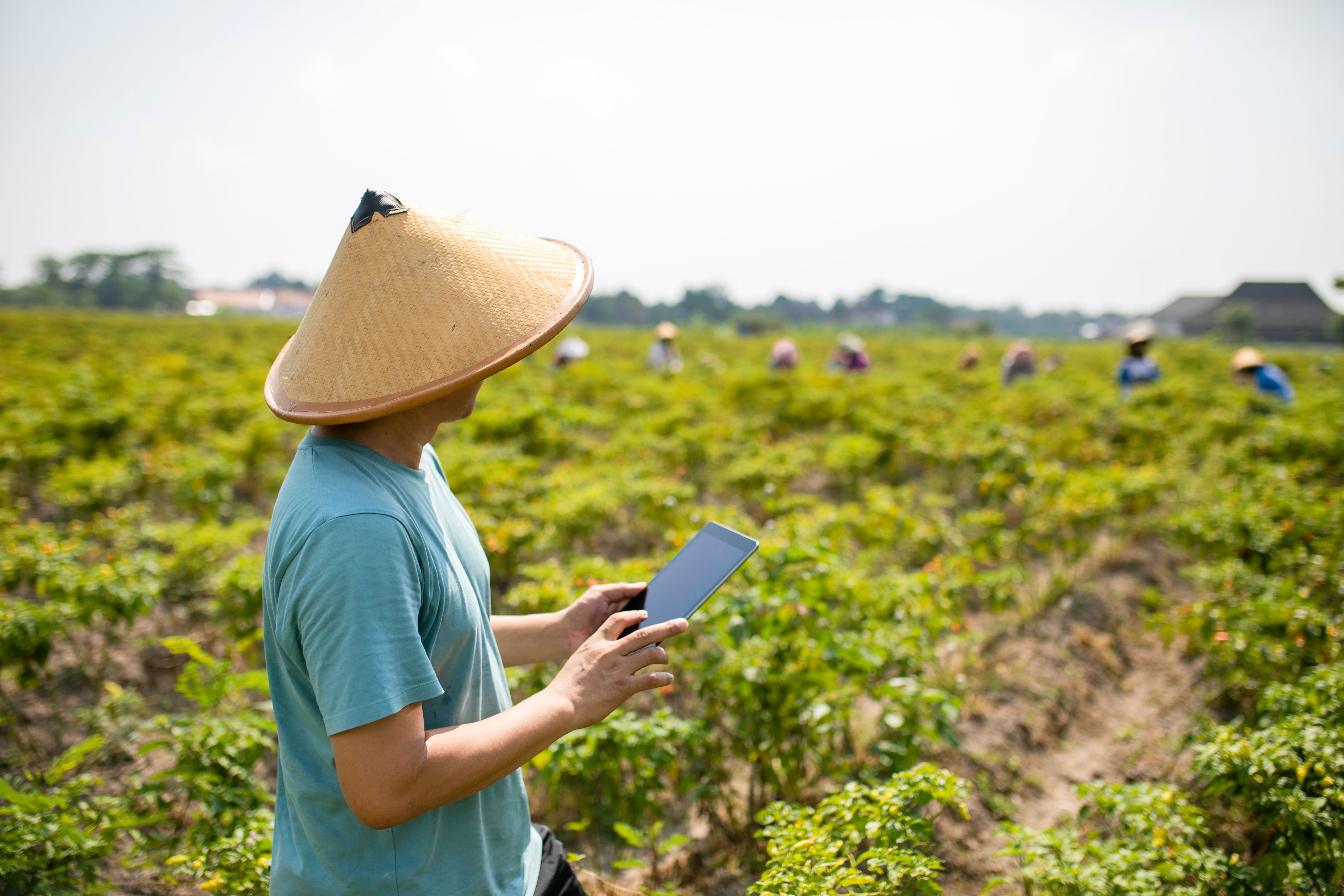 indonesia technology