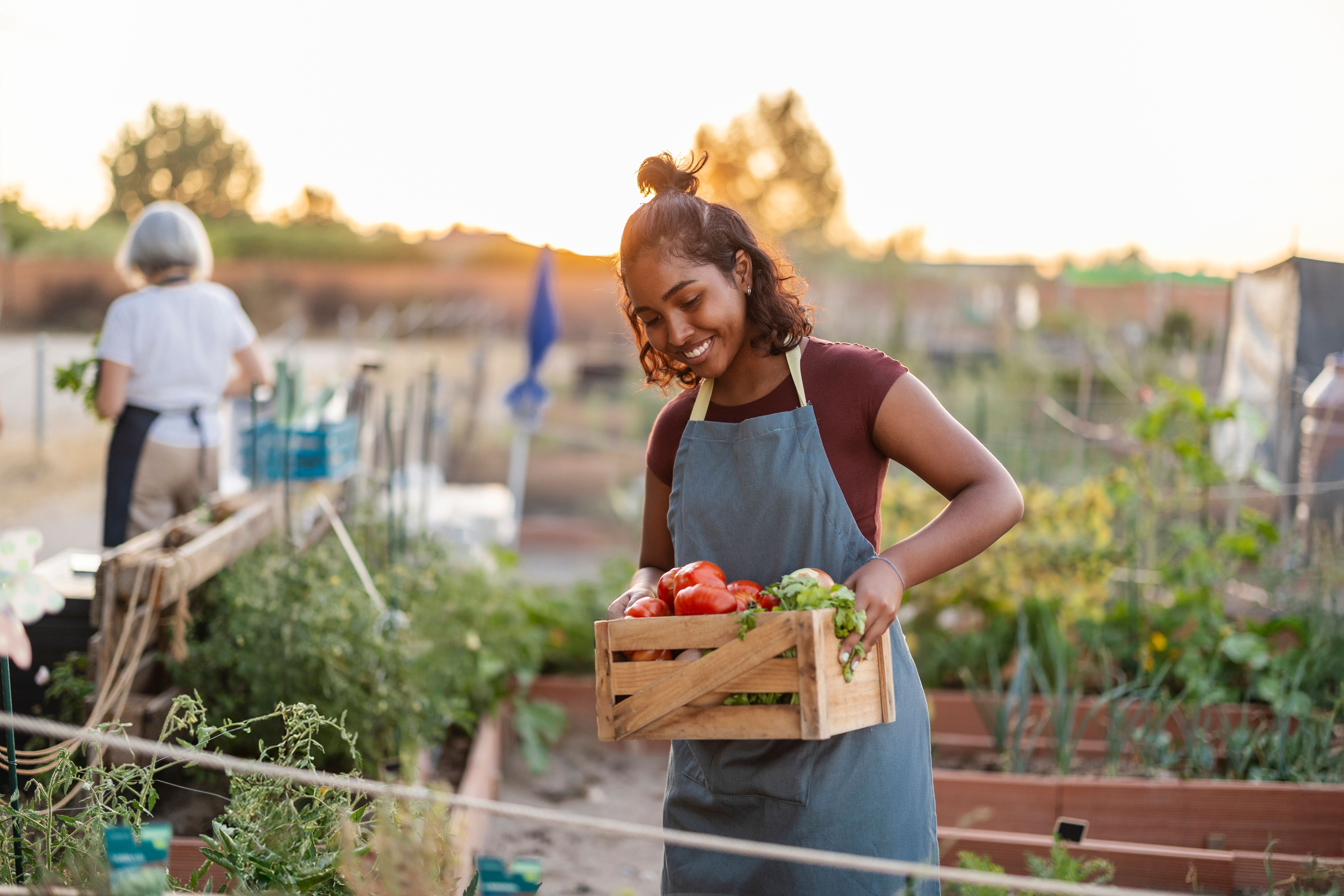 community garden
