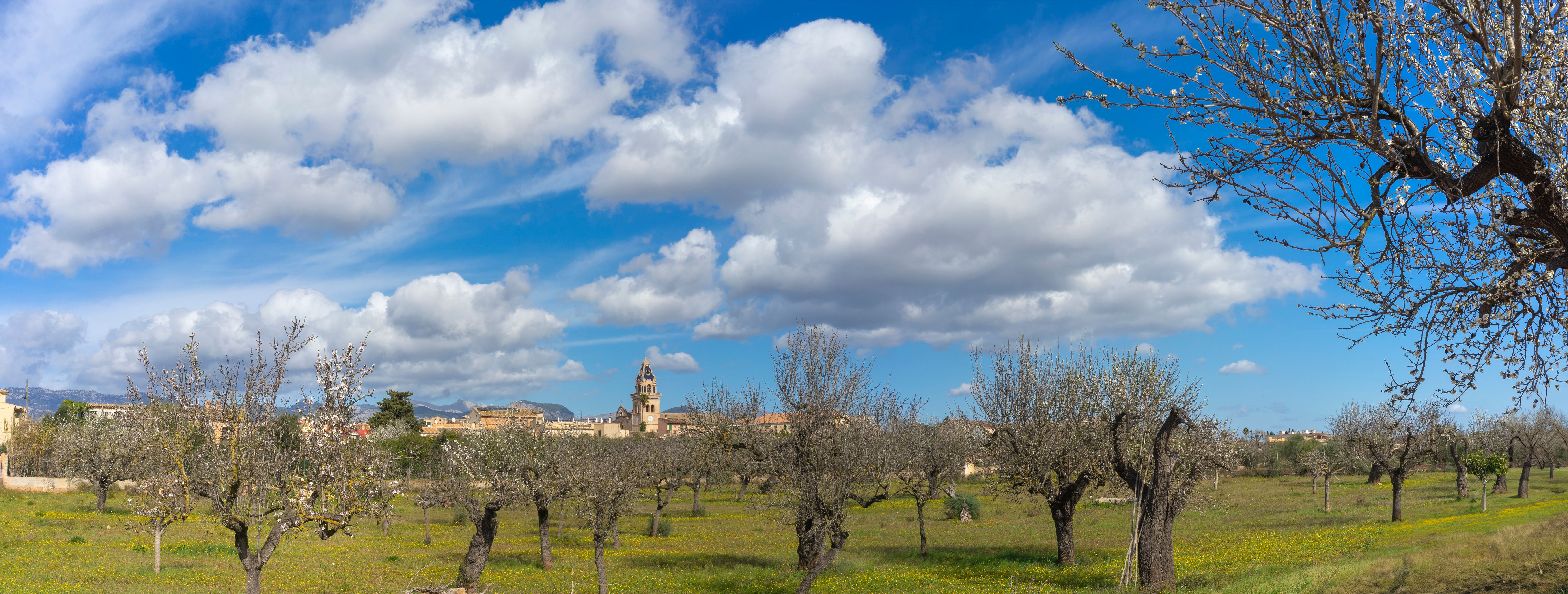 Expansive Sky over the Tranquil Village of Consell, Mallorca