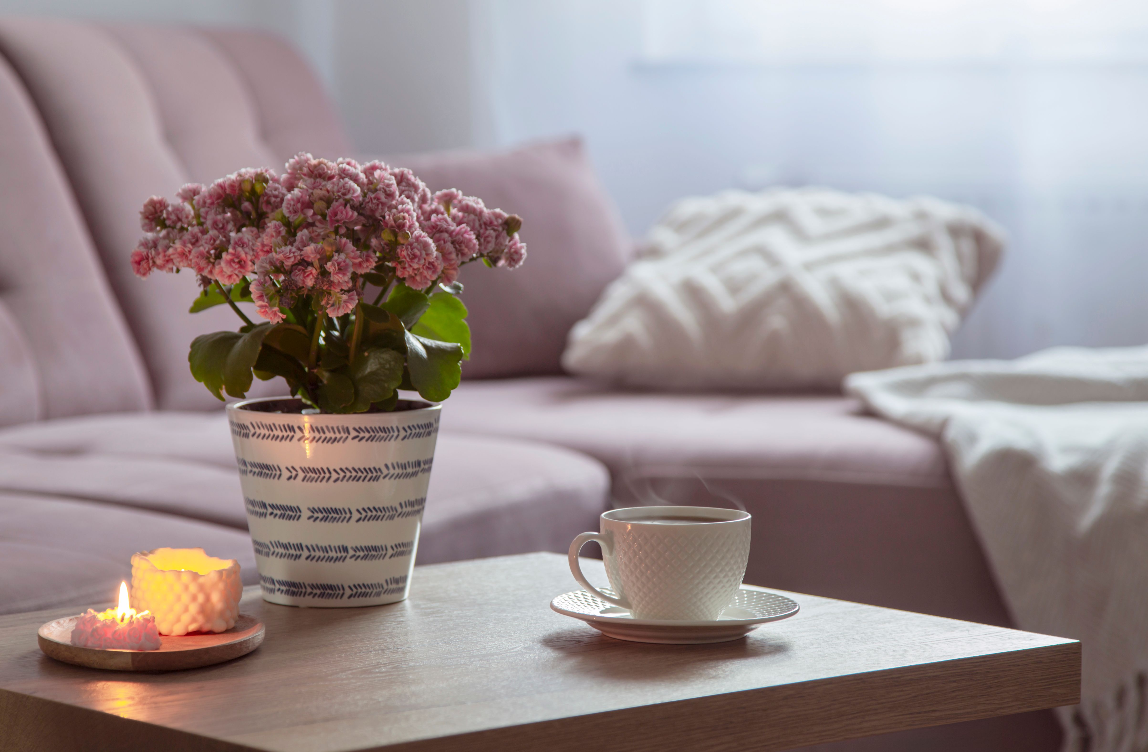 eco friendly candles