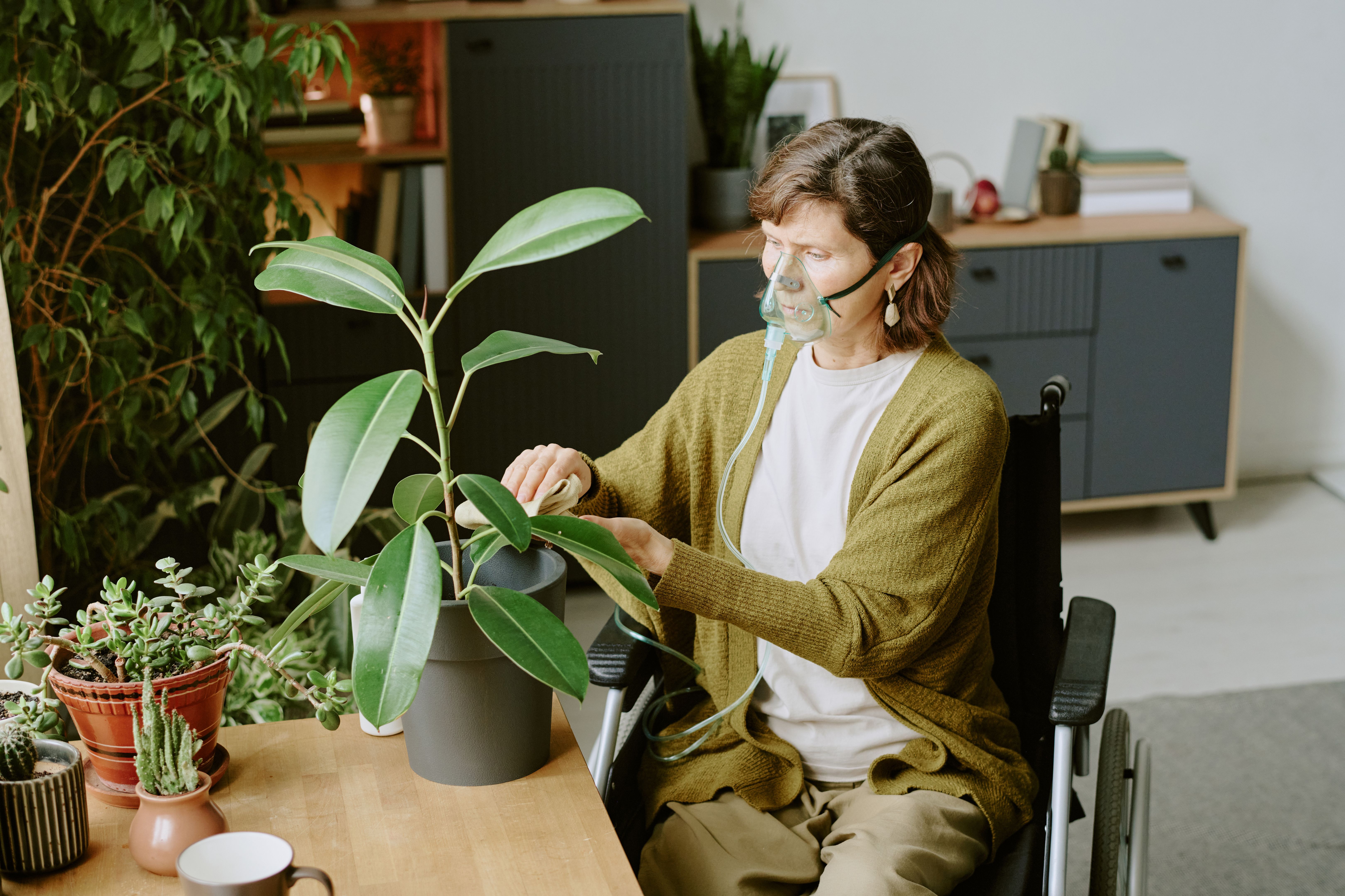 horticultural therapy