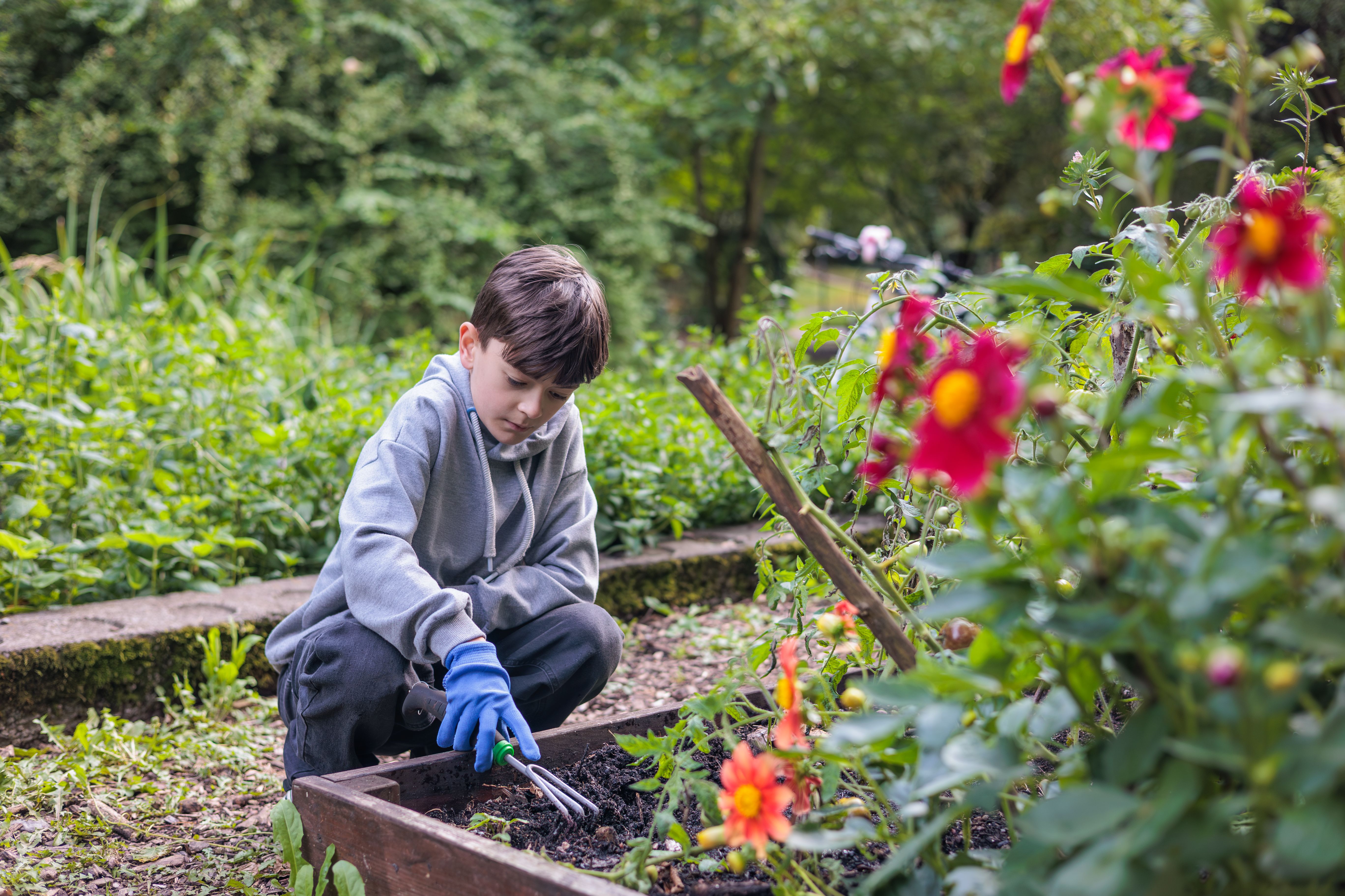 school gardening