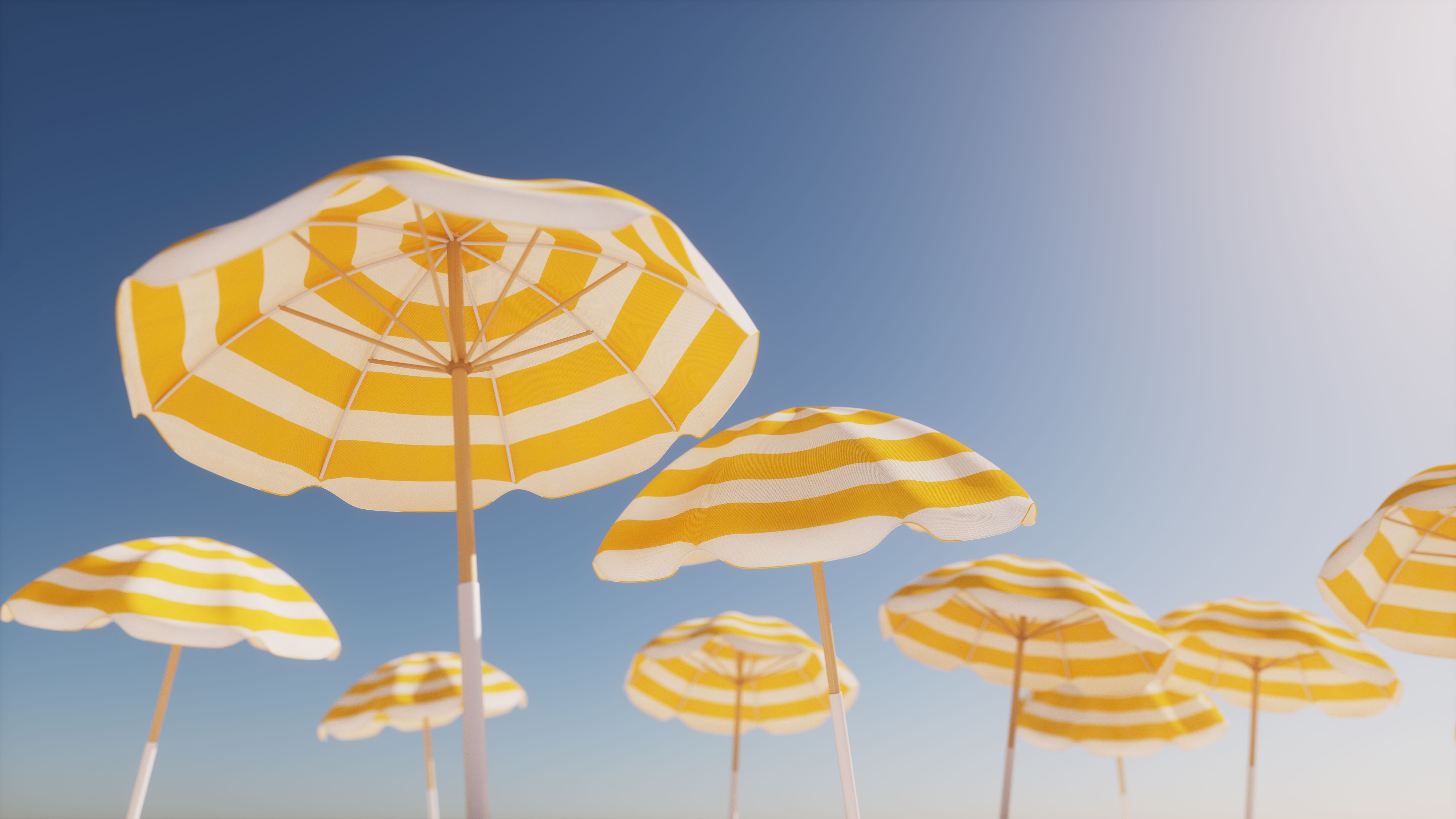 summer sunshine