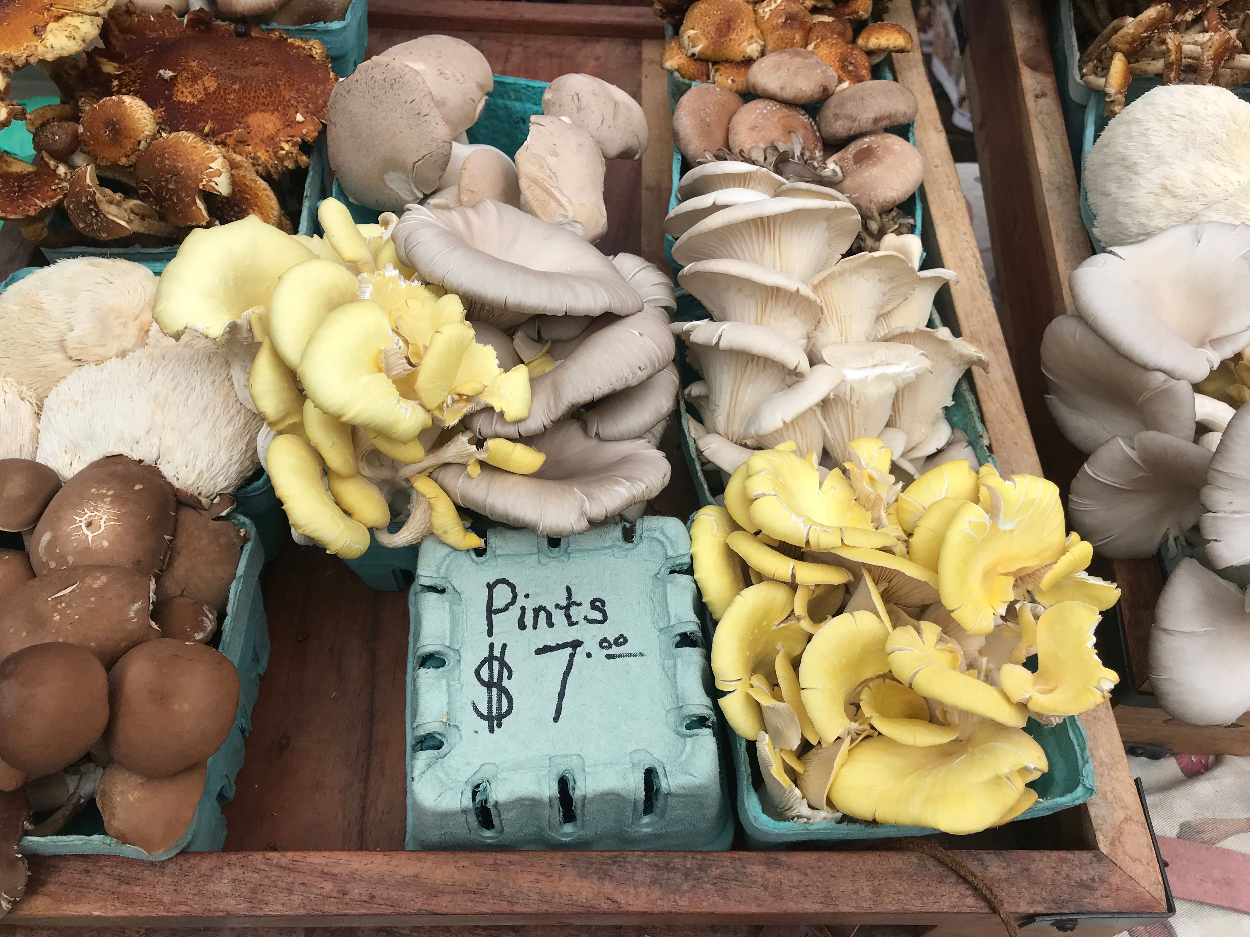 farmers market mushrooms