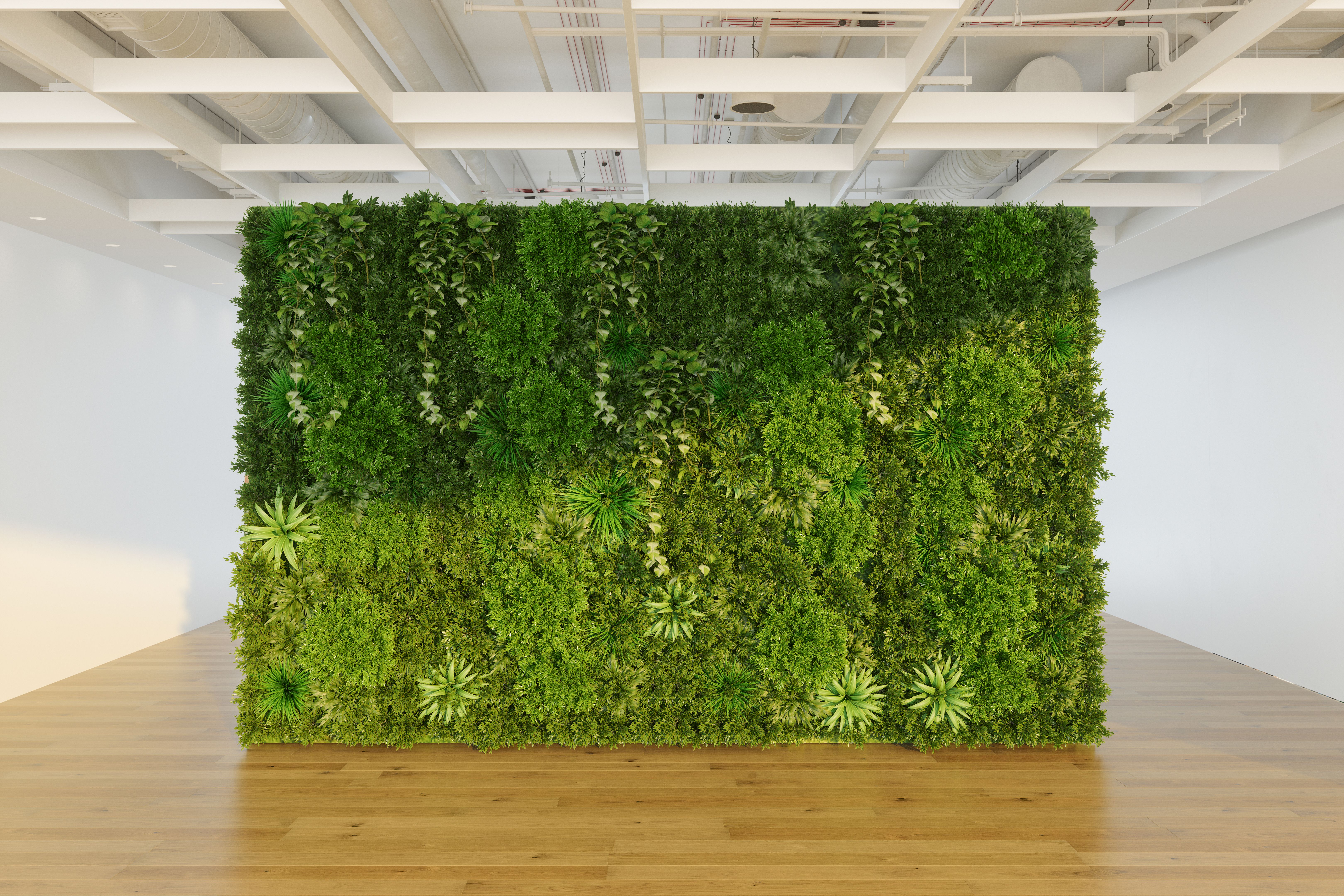 vertical garden