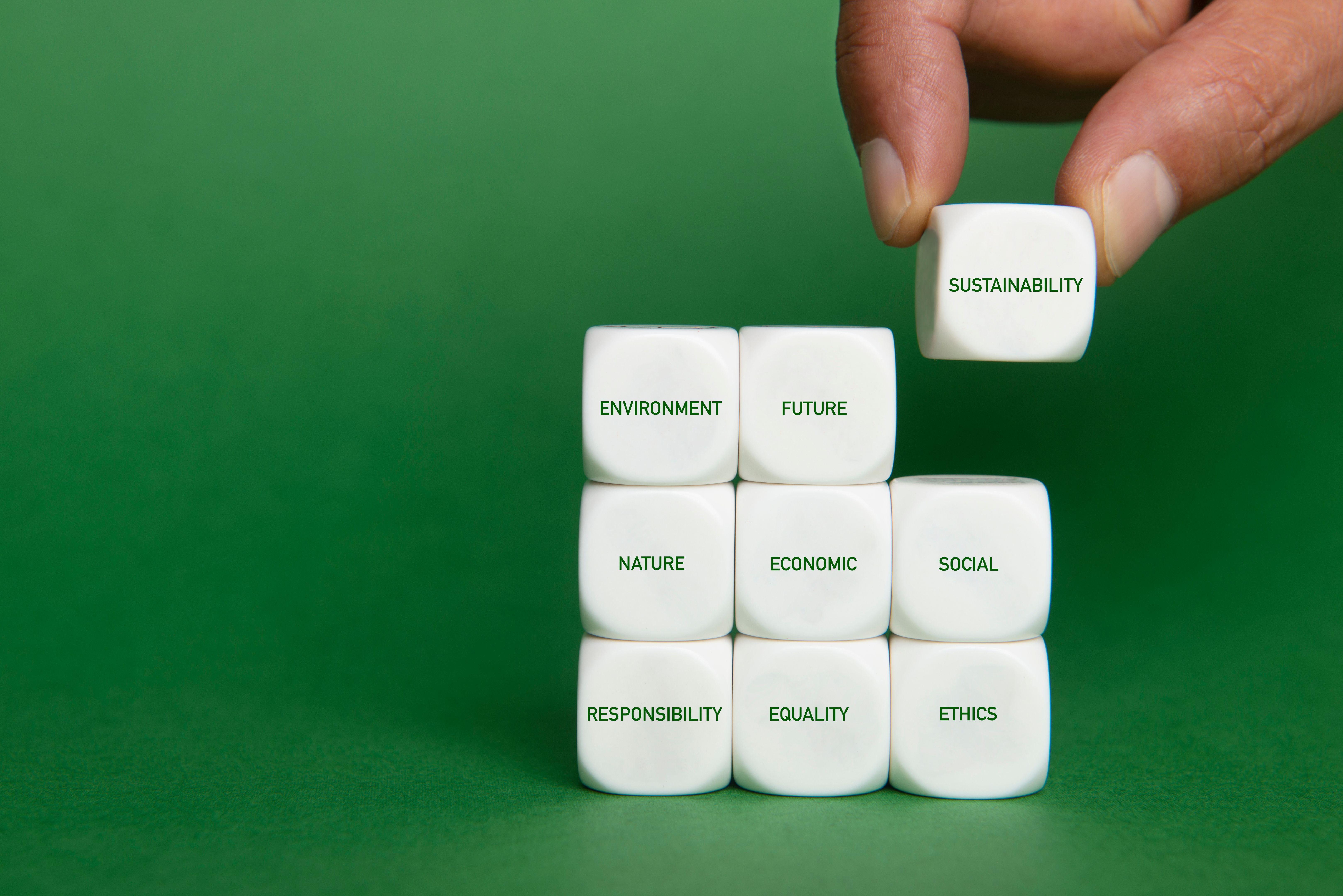 sustainable interior