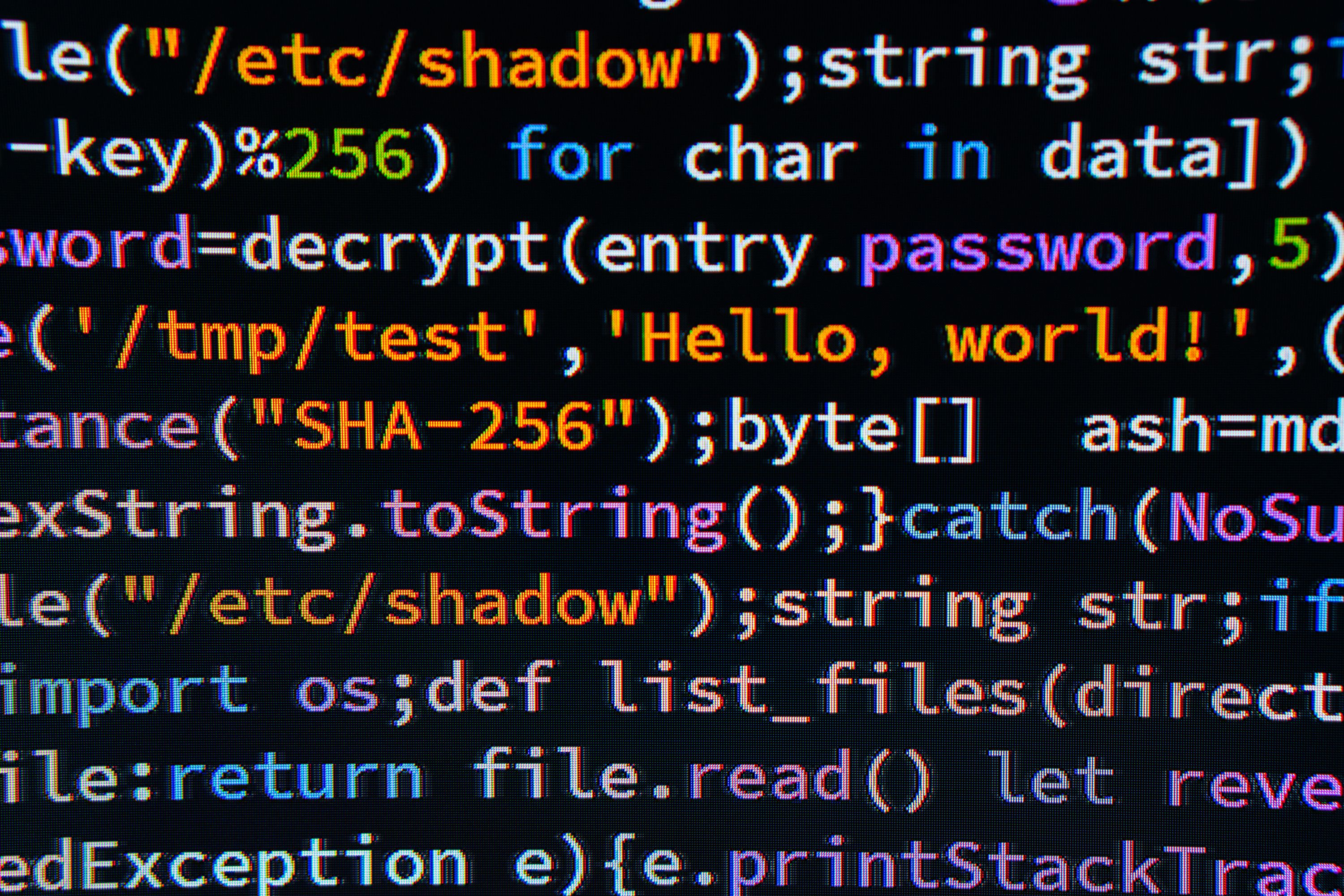 software development process