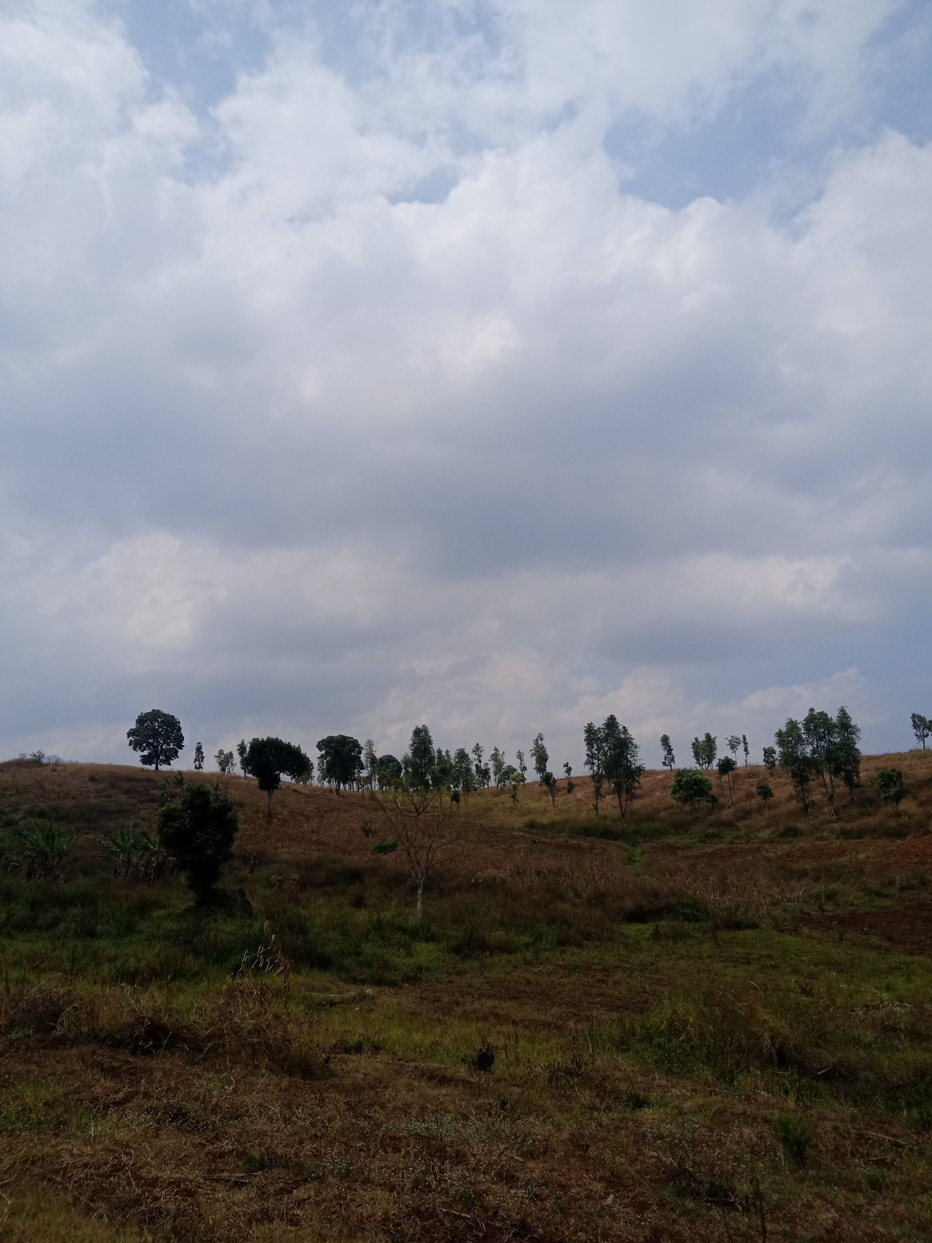 kasungu climate