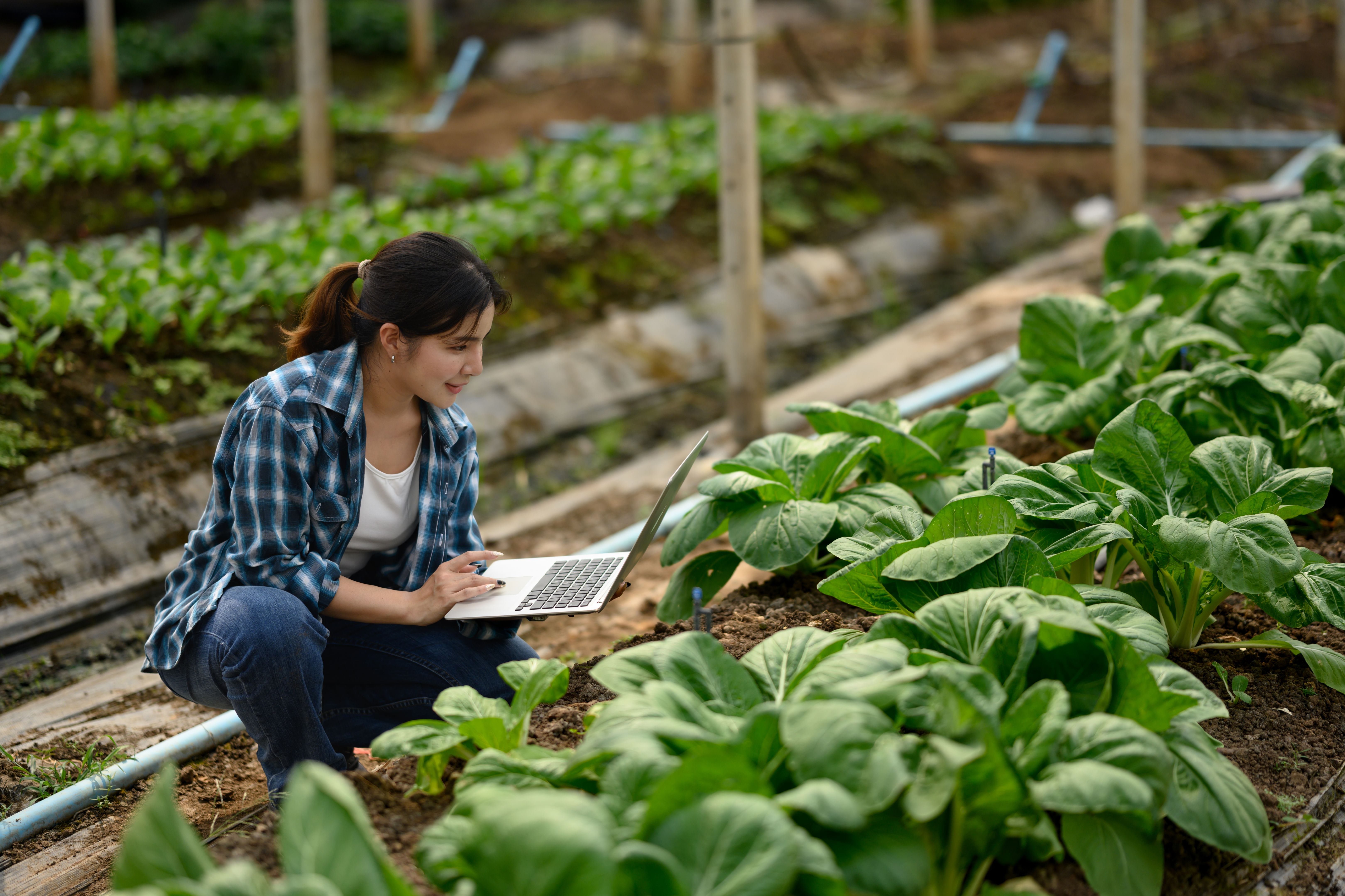 modern farming