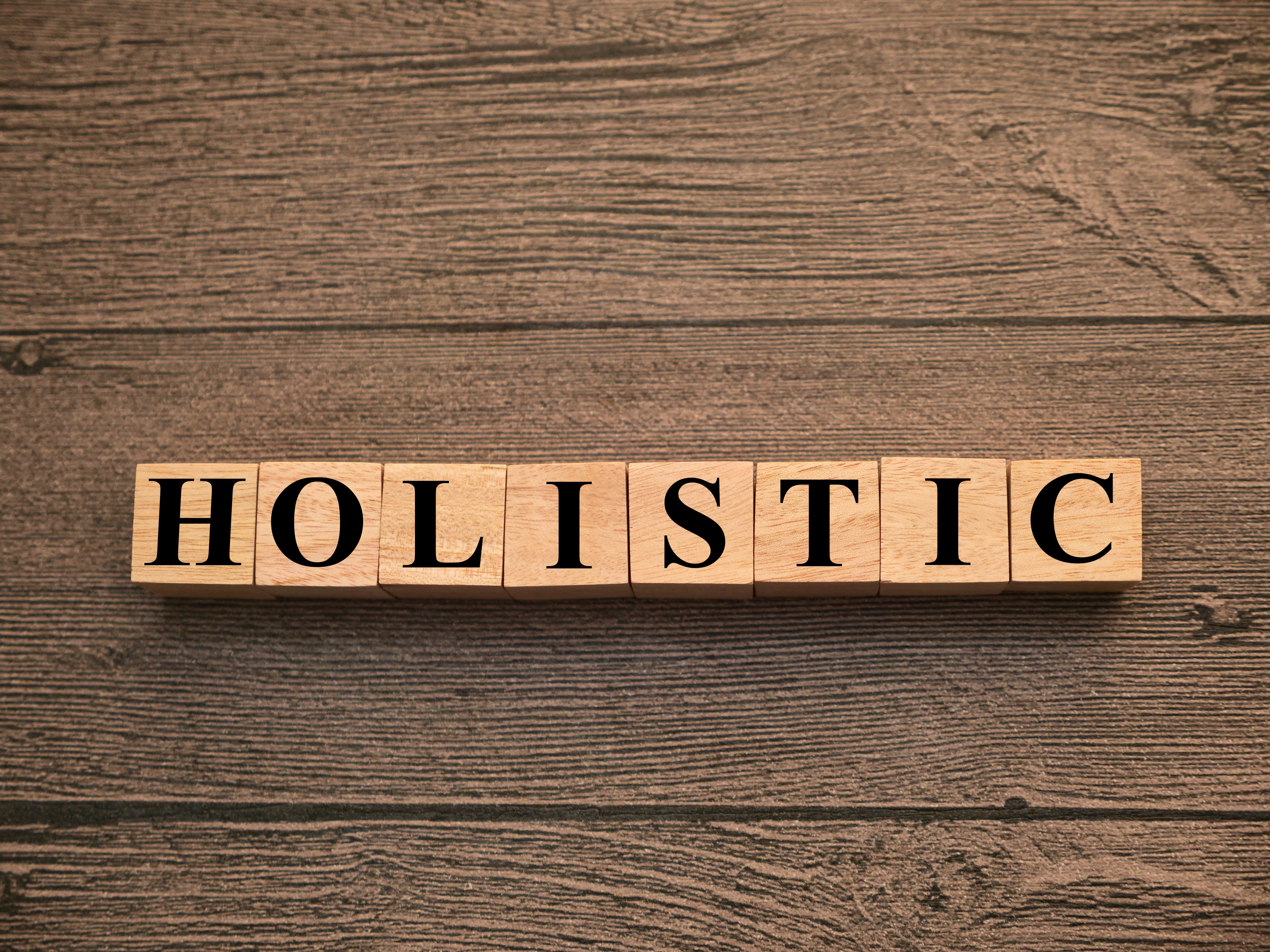 holistic business solutions