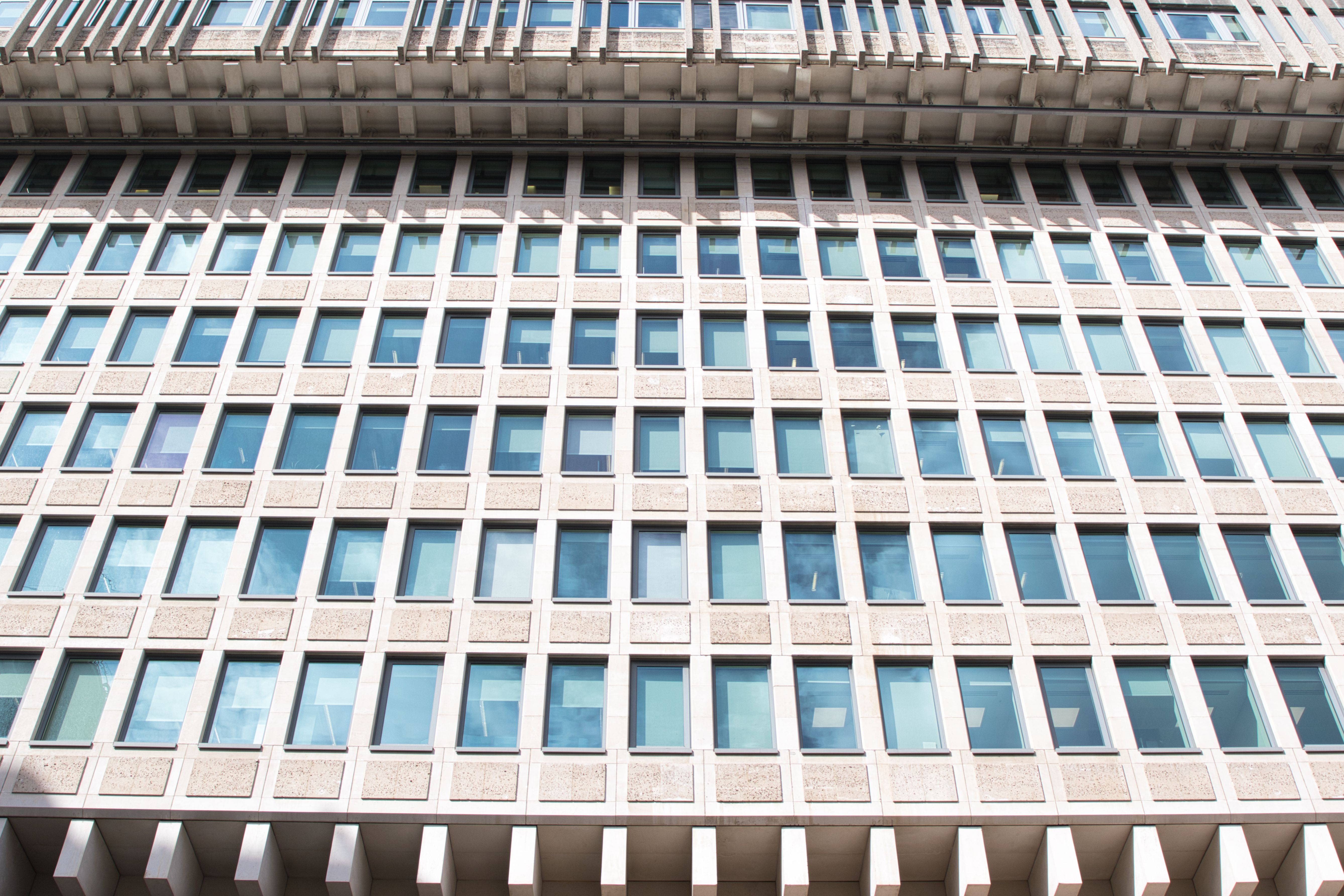 urban privacy windows