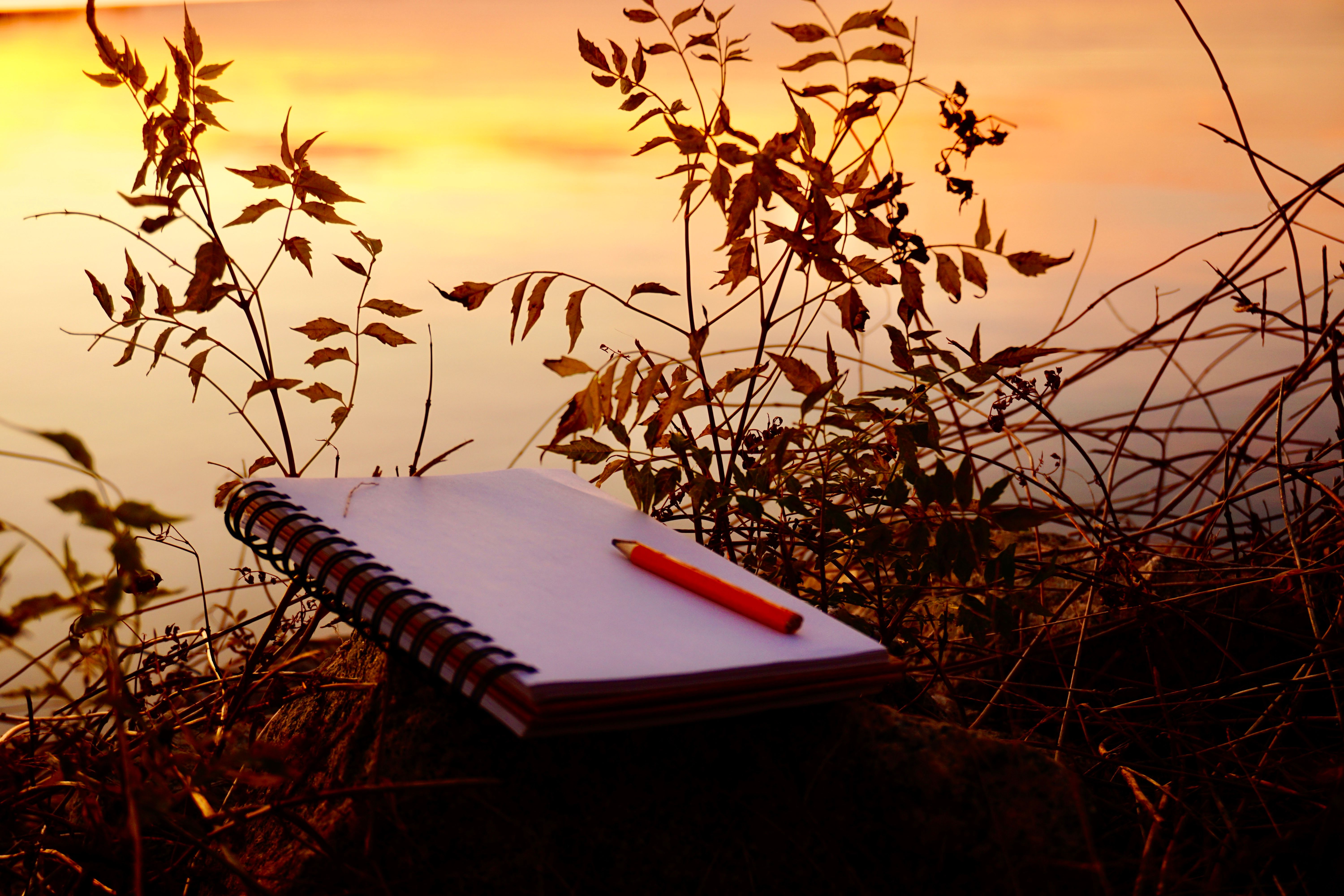 tarot journal seasons