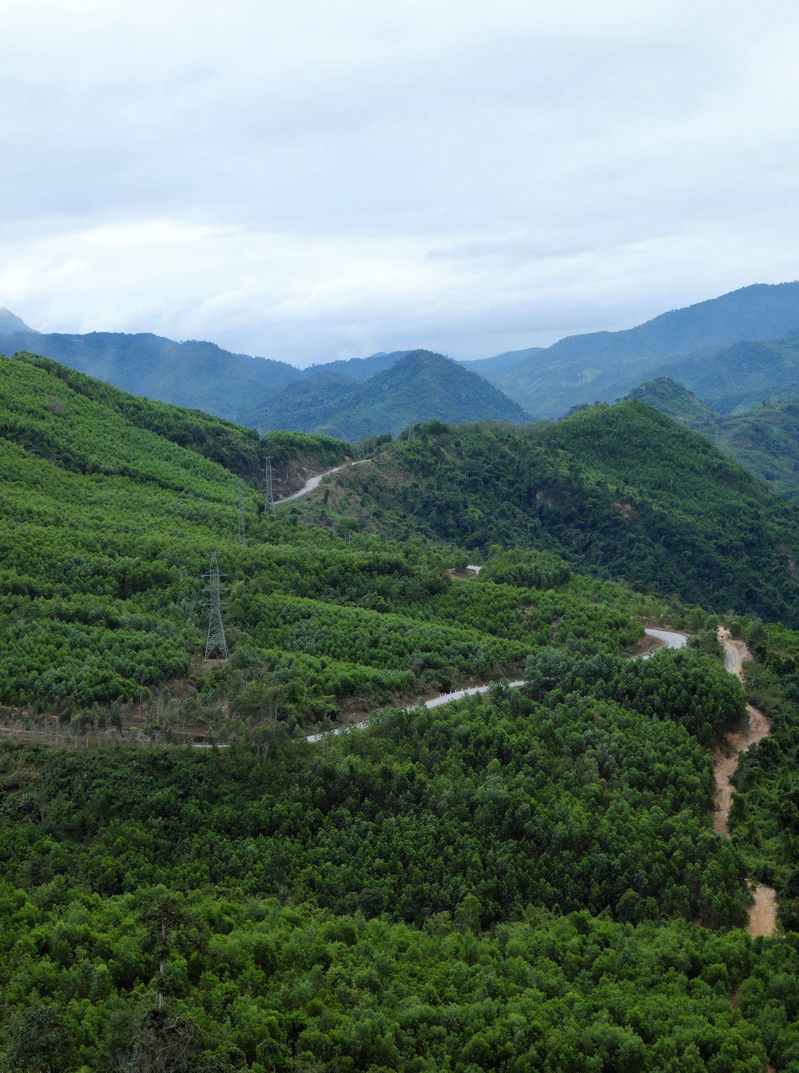 Ho Chi Minh trail, forest in mountain