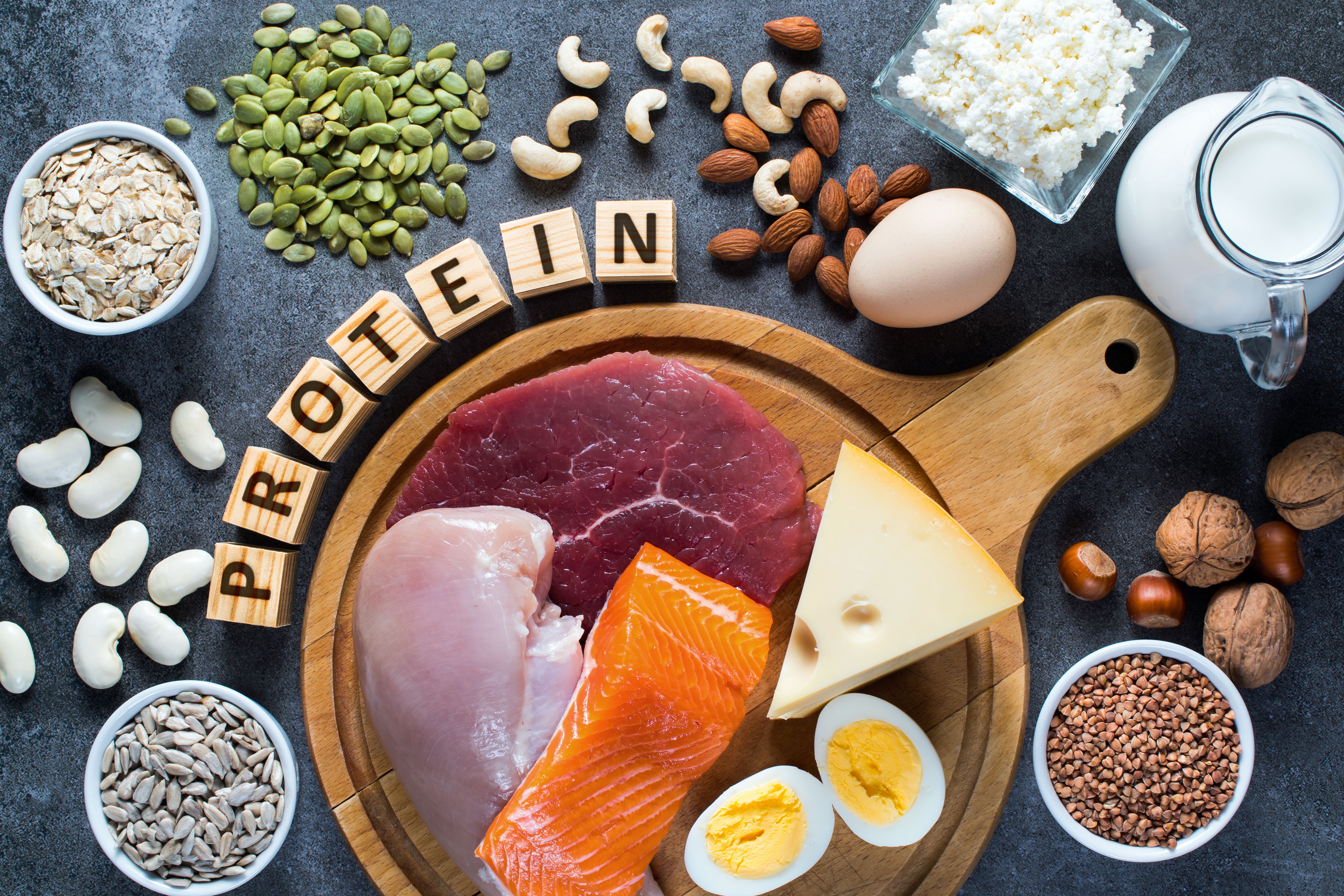 protein sources