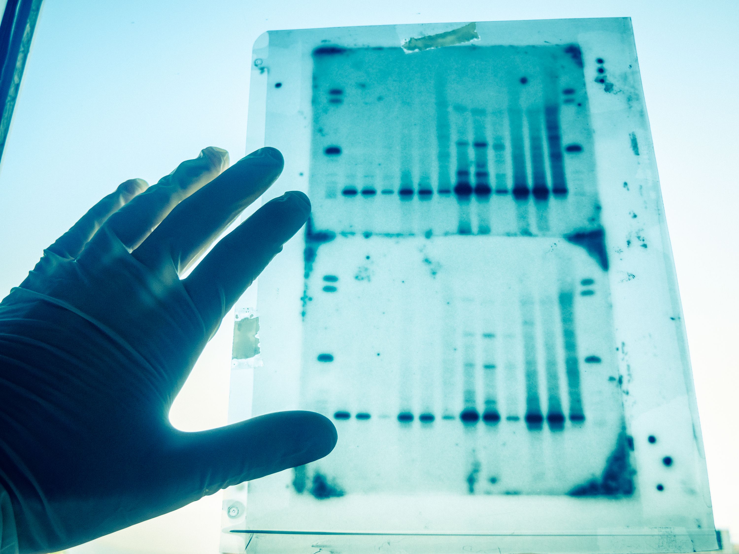Understanding DNA Testing: Common Misconceptions and Realities