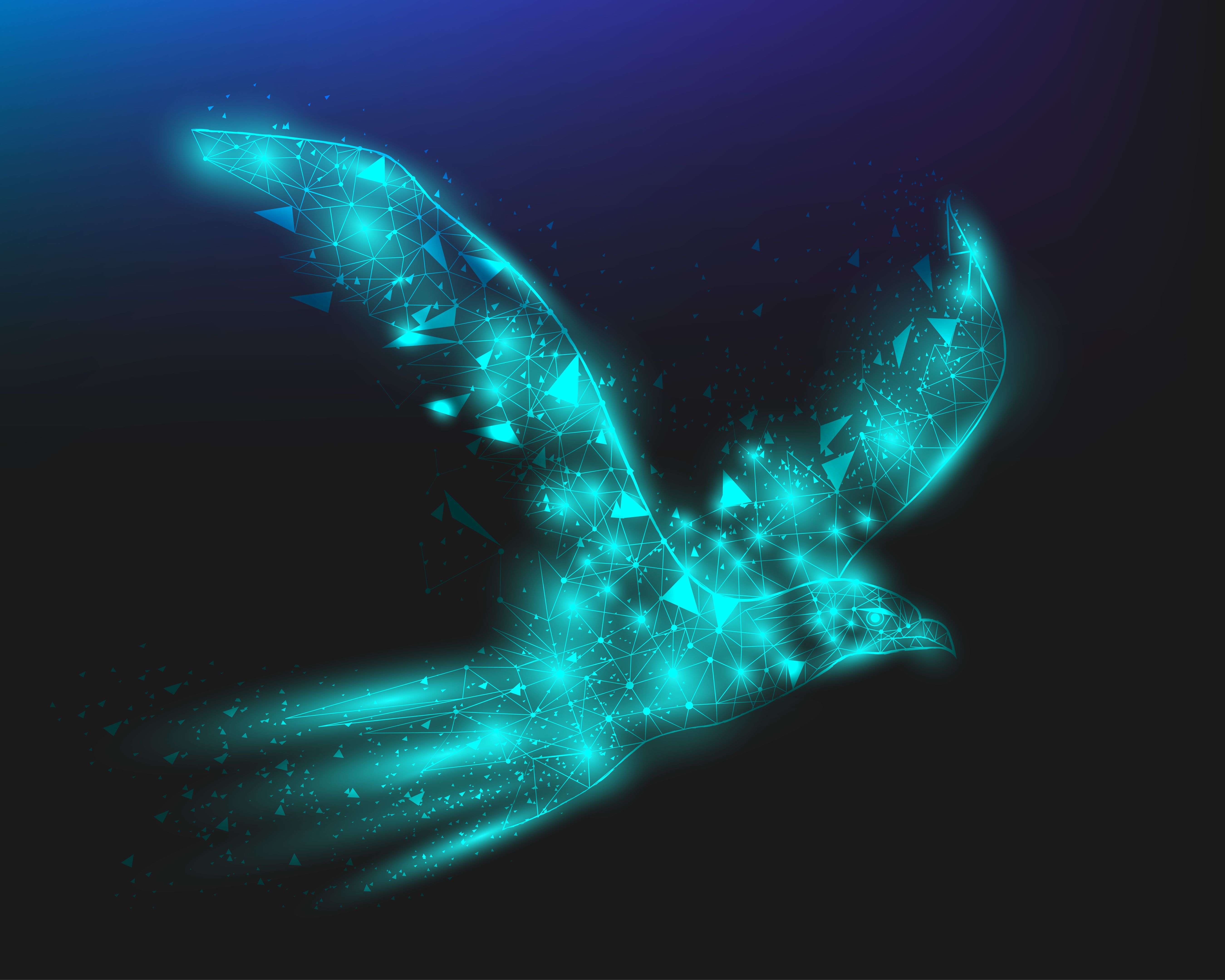 bird tracking technology