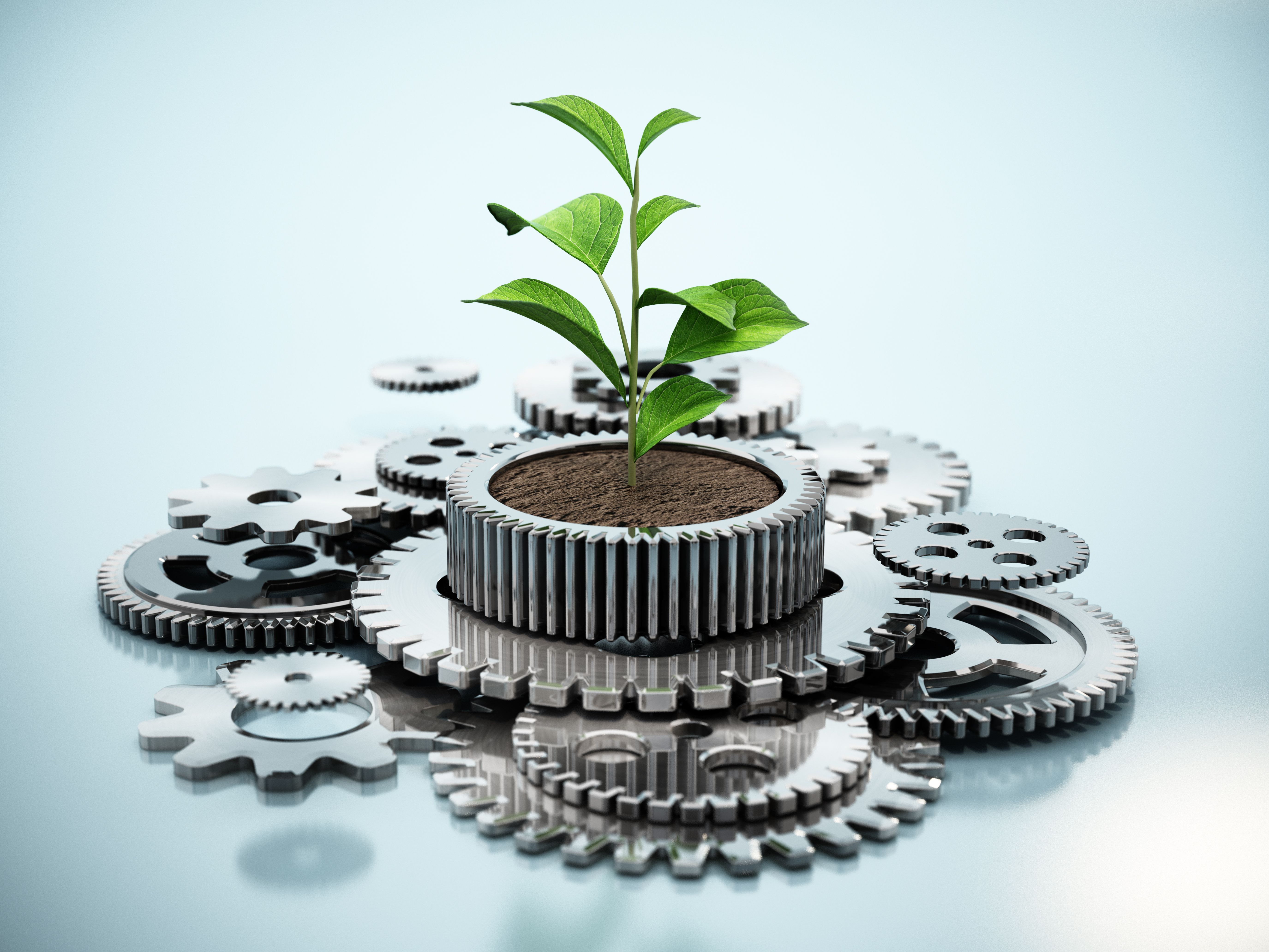 environmental sustainability