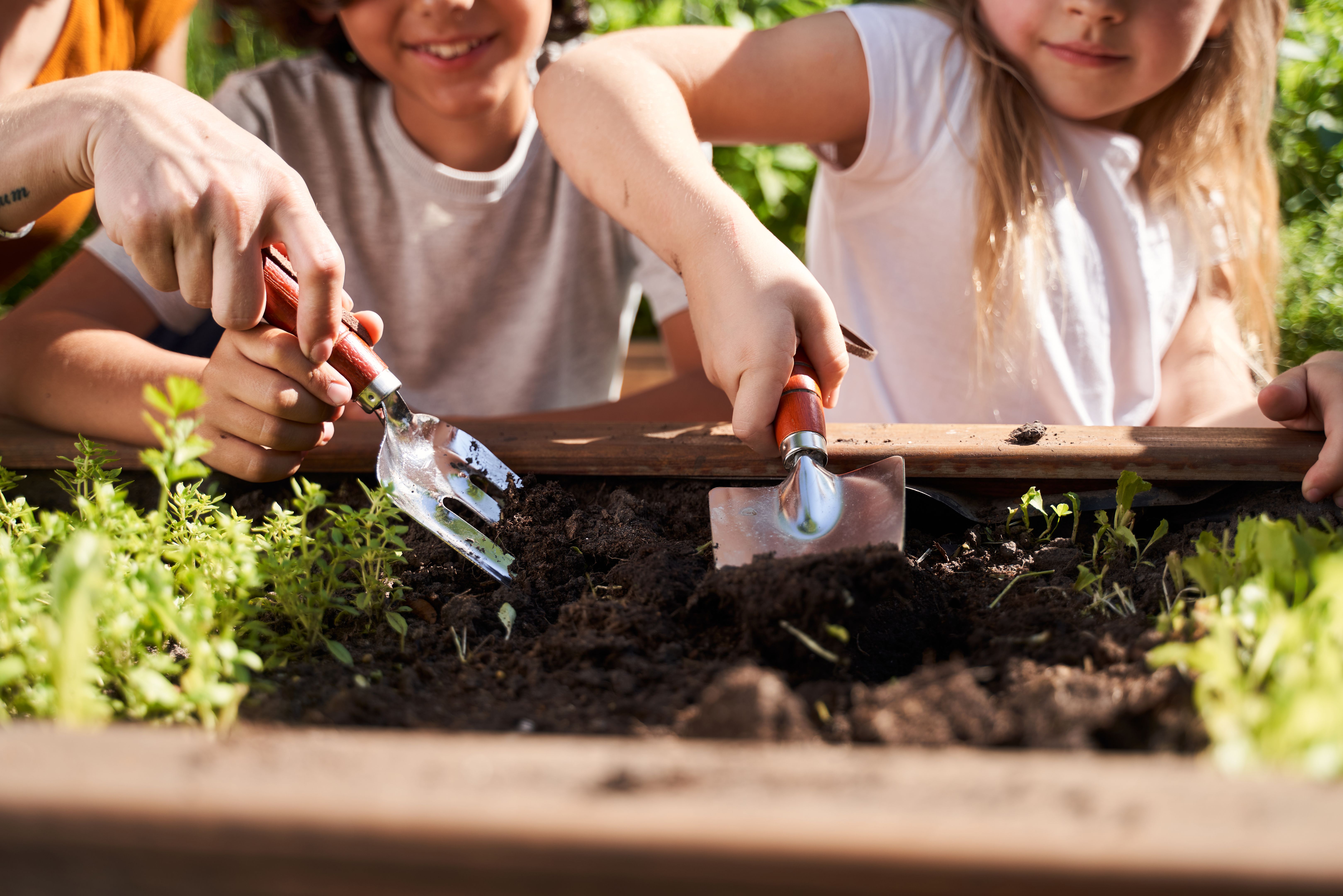 children gardening