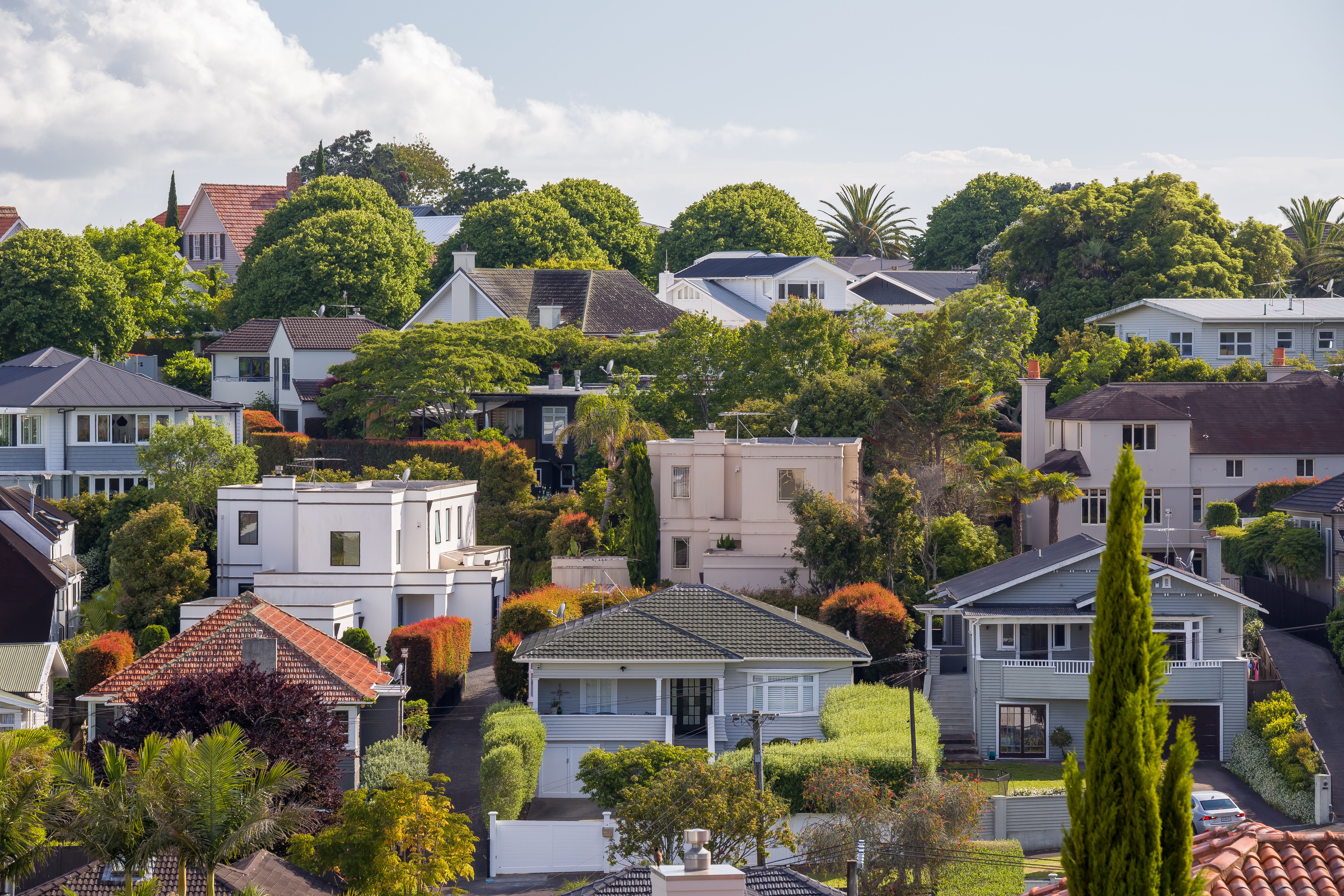 new zealand home