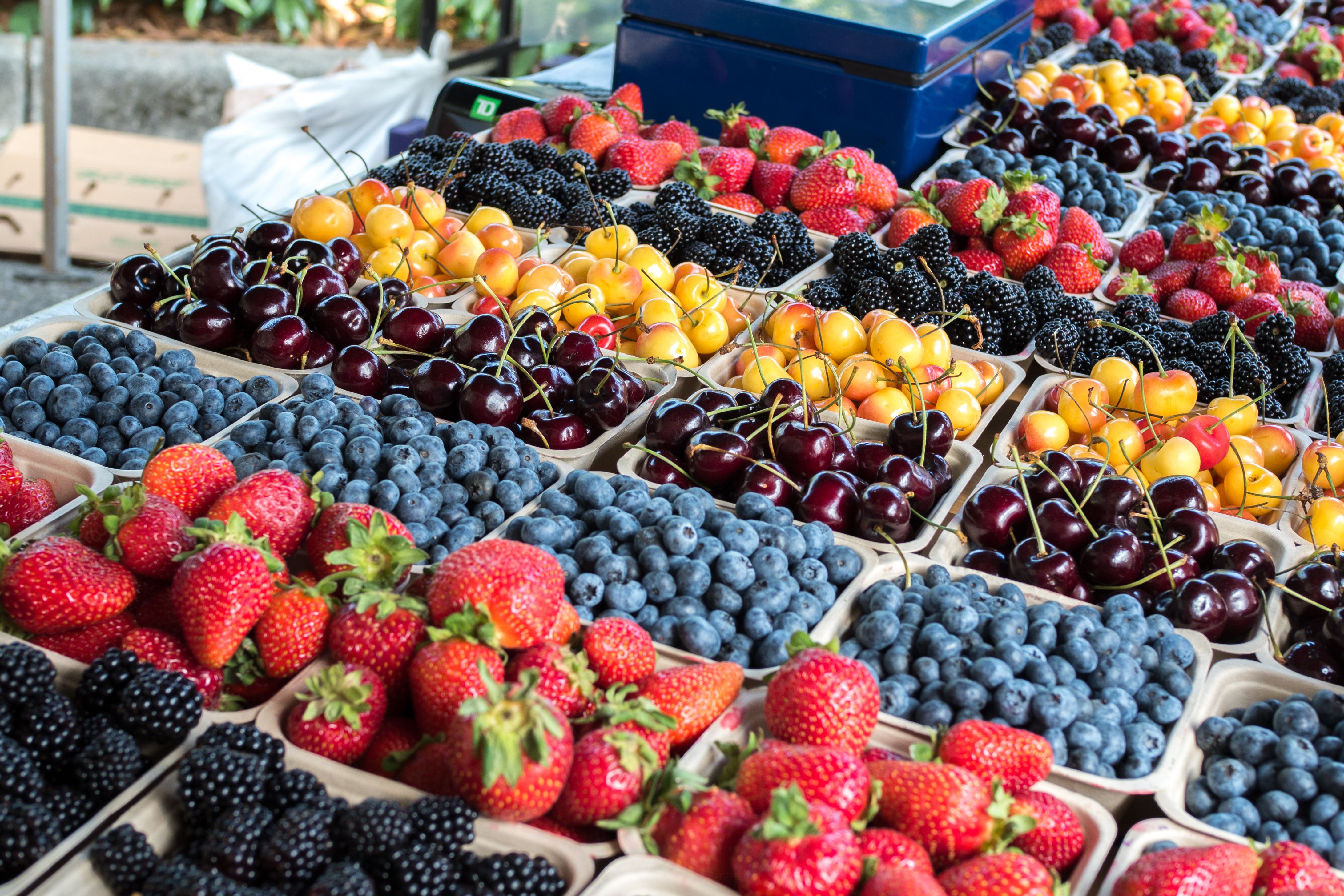 summer fruits