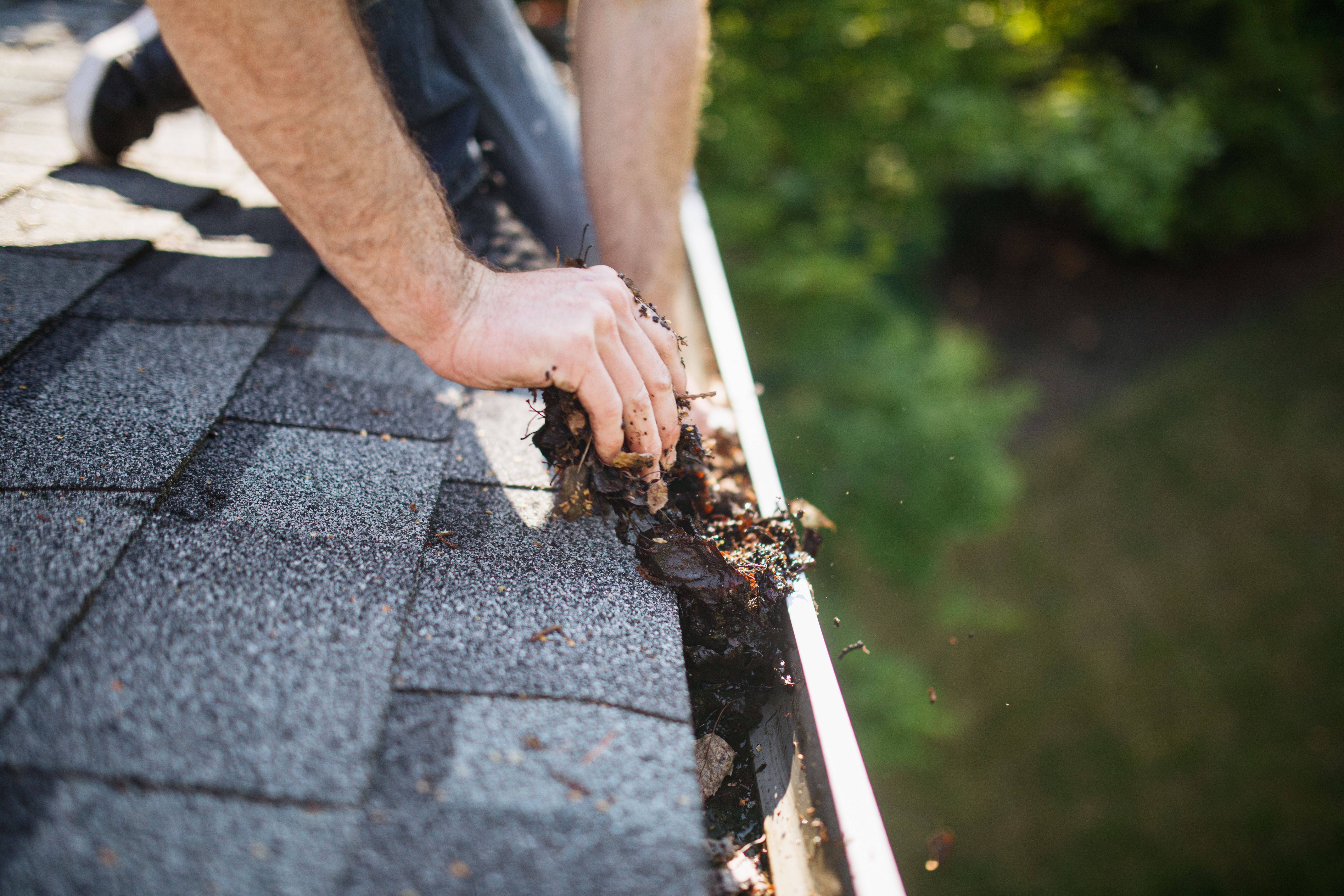 clogged gutters
