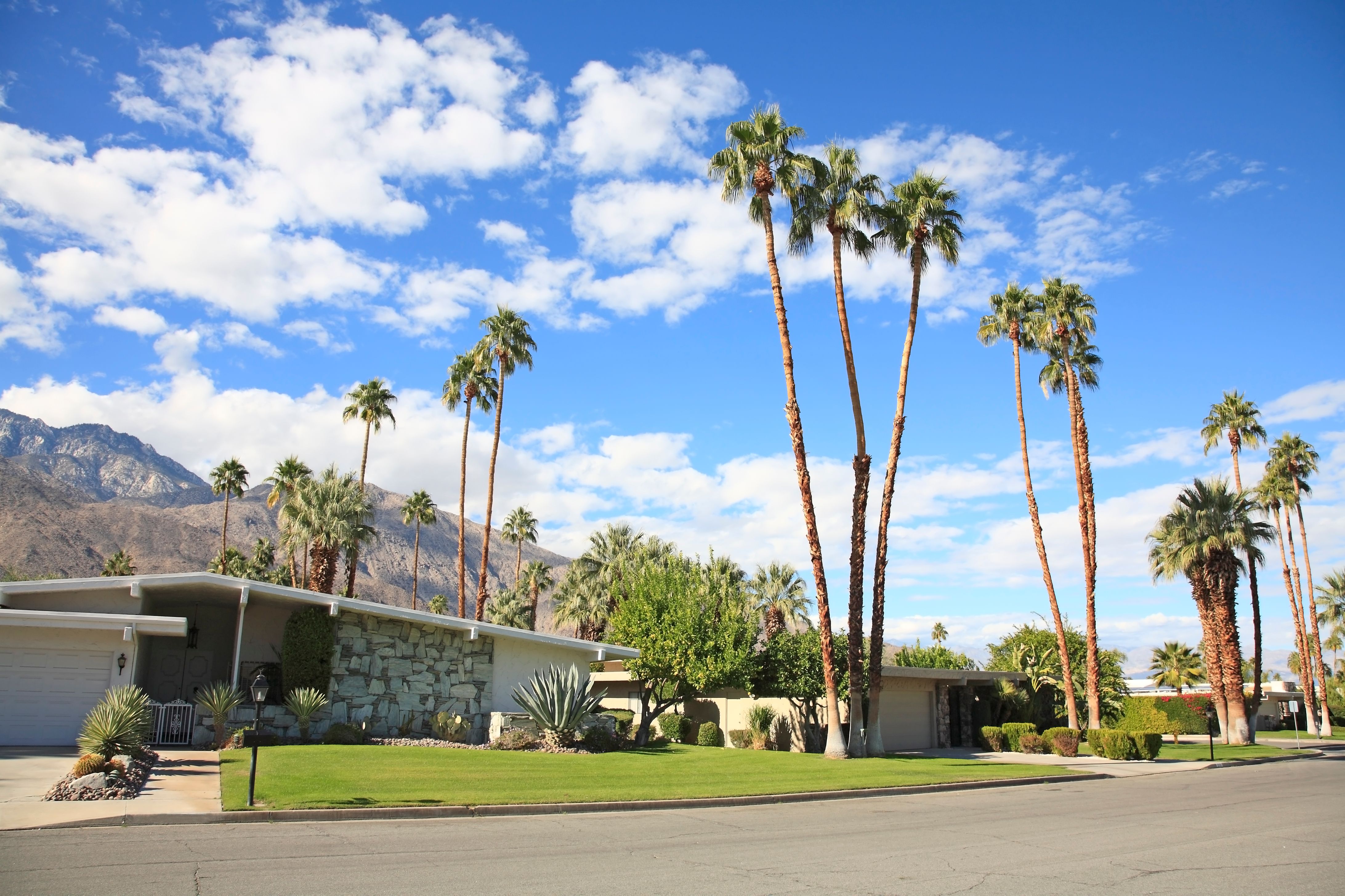 palm springs neighborhood